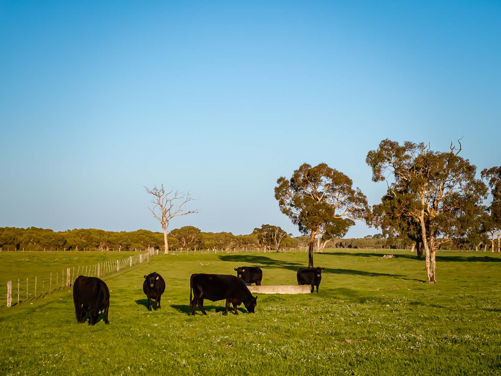 Lot 367 Beaumaris Road, Keppoch For Sale by Farmbuy.com - image 26