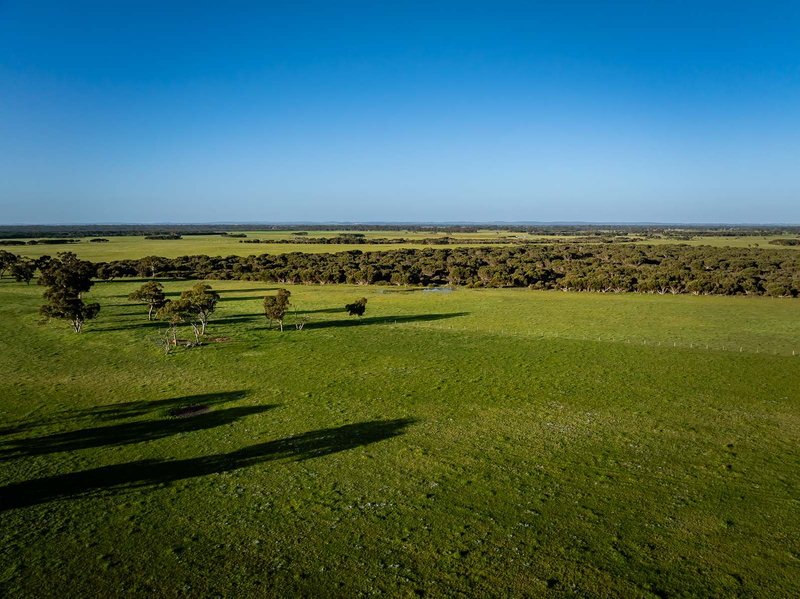Lot 367 Beaumaris Road, Keppoch For Sale by Farmbuy.com - image 25
