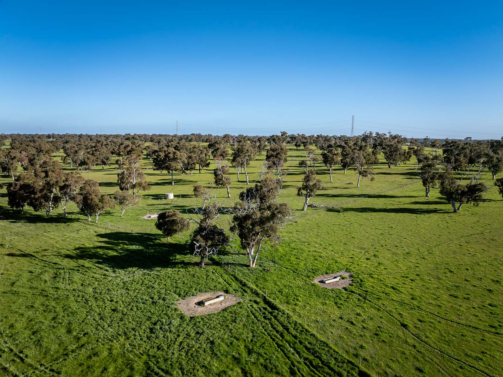 Lot 367 Beaumaris Road, Keppoch For Sale by Farmbuy.com - image 1