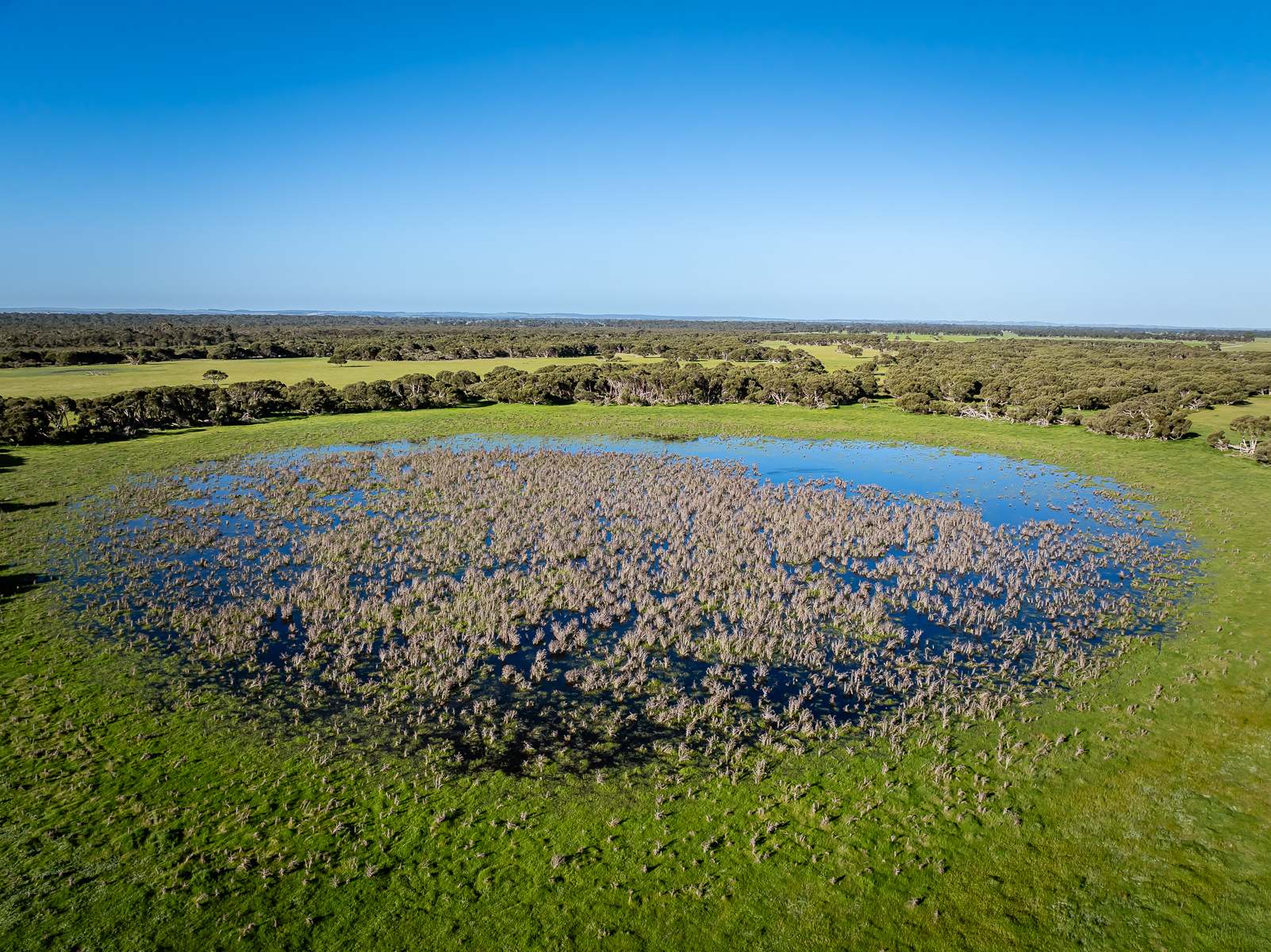 Lot 367 Beaumaris Road, Keppoch For Sale by Farmbuy.com - image 27