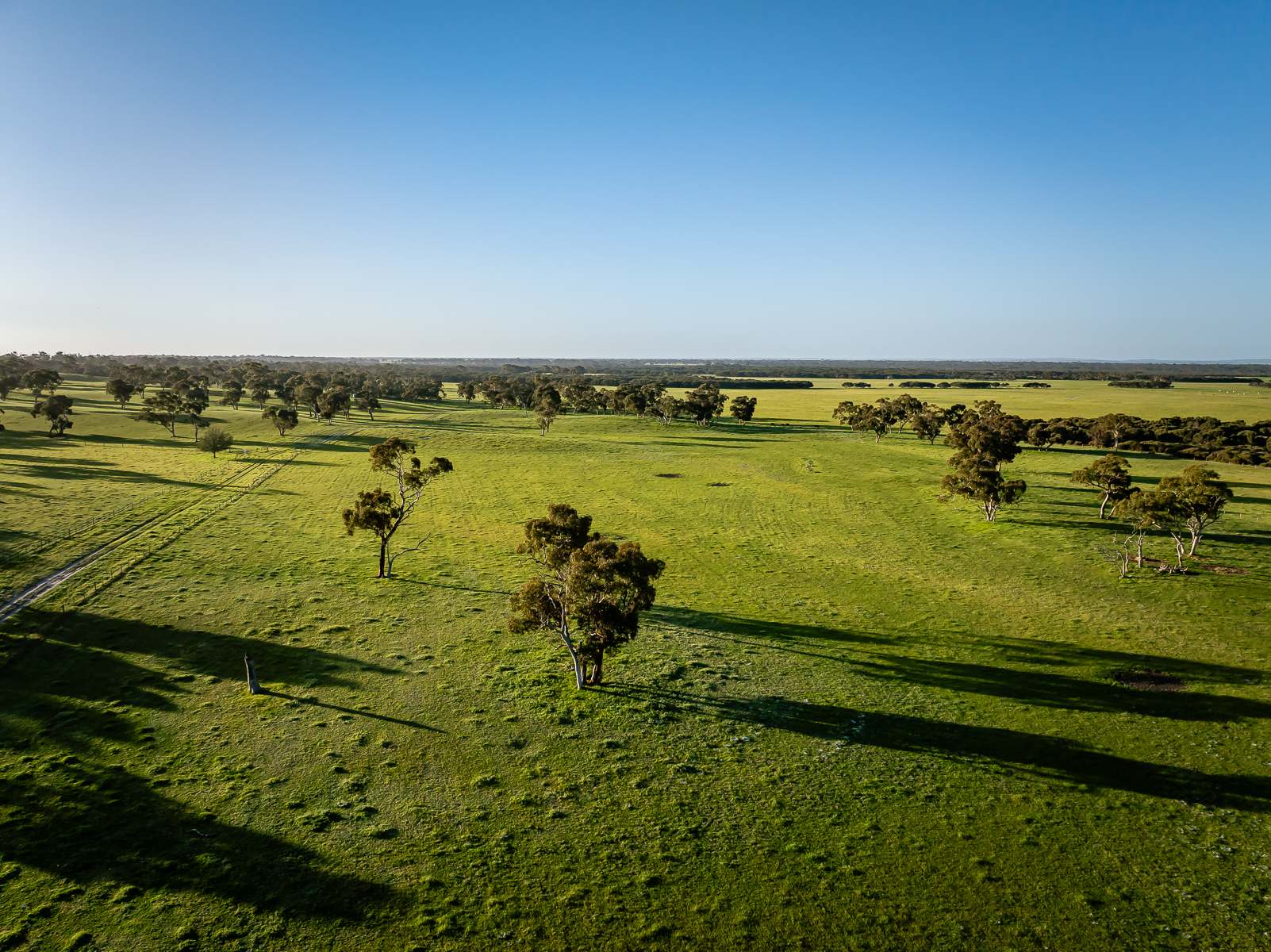 Lot 367 Beaumaris Road, Keppoch For Sale by Farmbuy.com - image 4