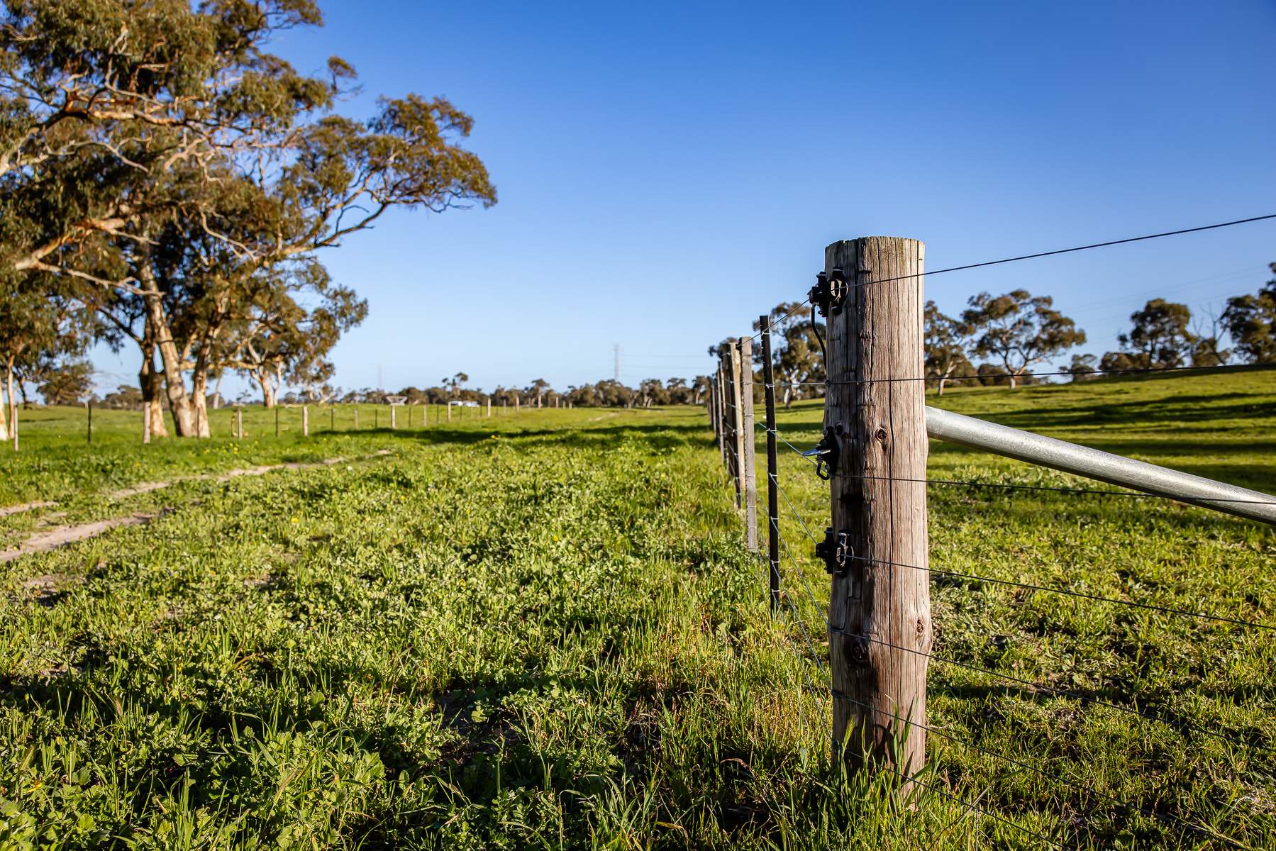 Lot 367 Beaumaris Road, Keppoch For Sale by Farmbuy.com - image 35