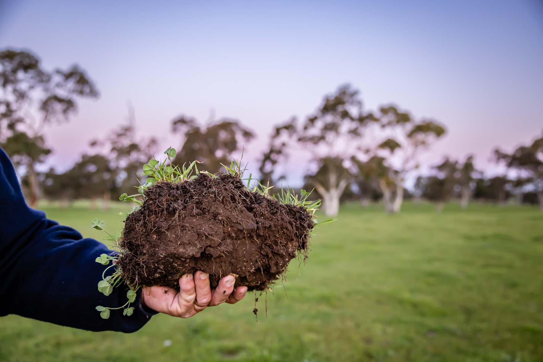 Lot 367 Beaumaris Road, Keppoch For Sale by Farmbuy.com - image 3