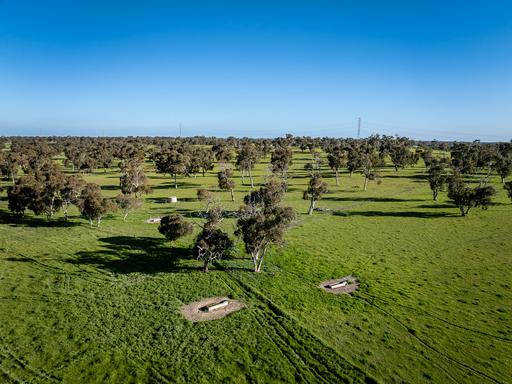 Lot 367 Beaumaris Road, Keppoch SA 5271