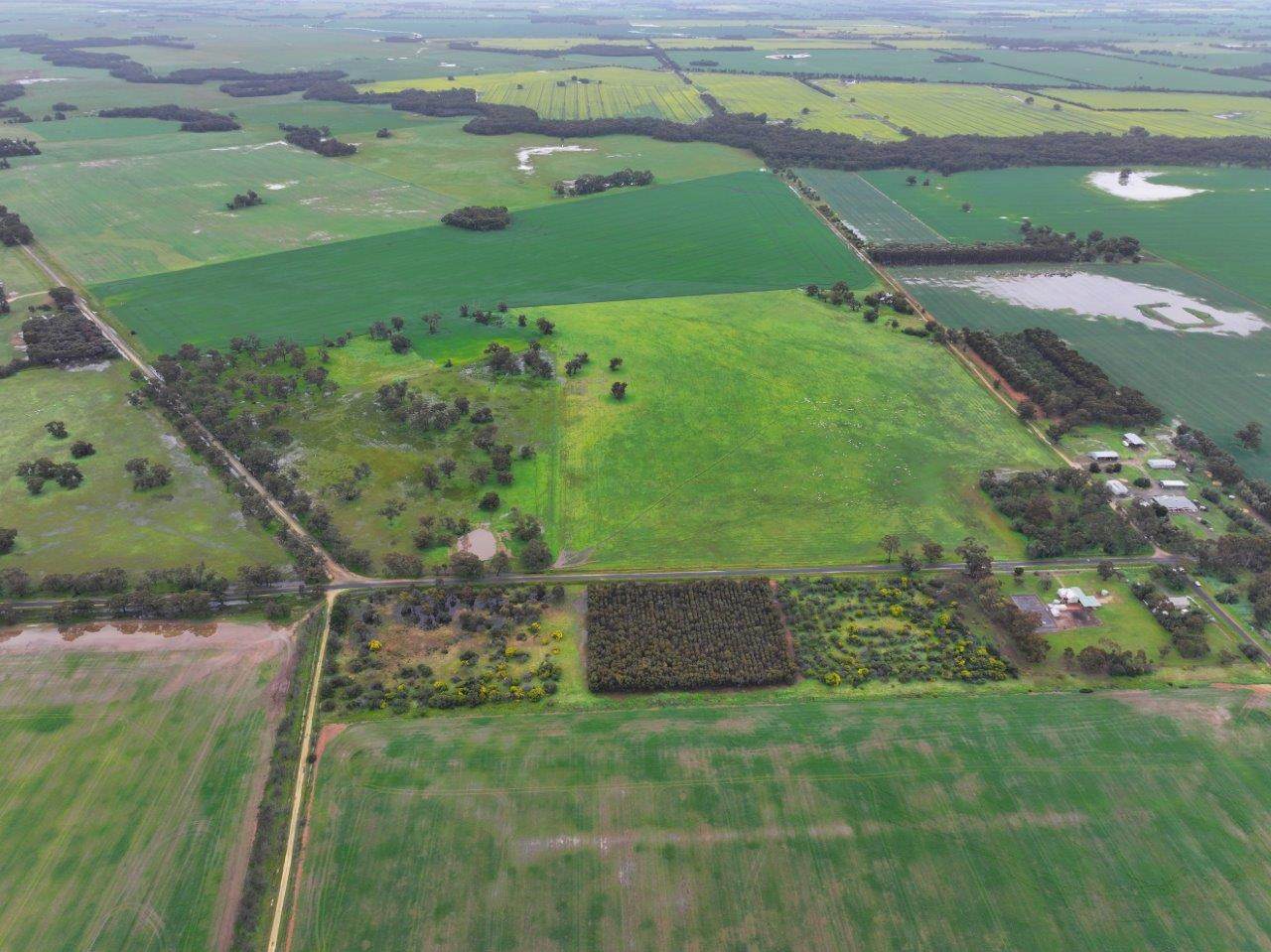 - Drummartin Road, Drummartin Auction by Farmbuy.com - image 6