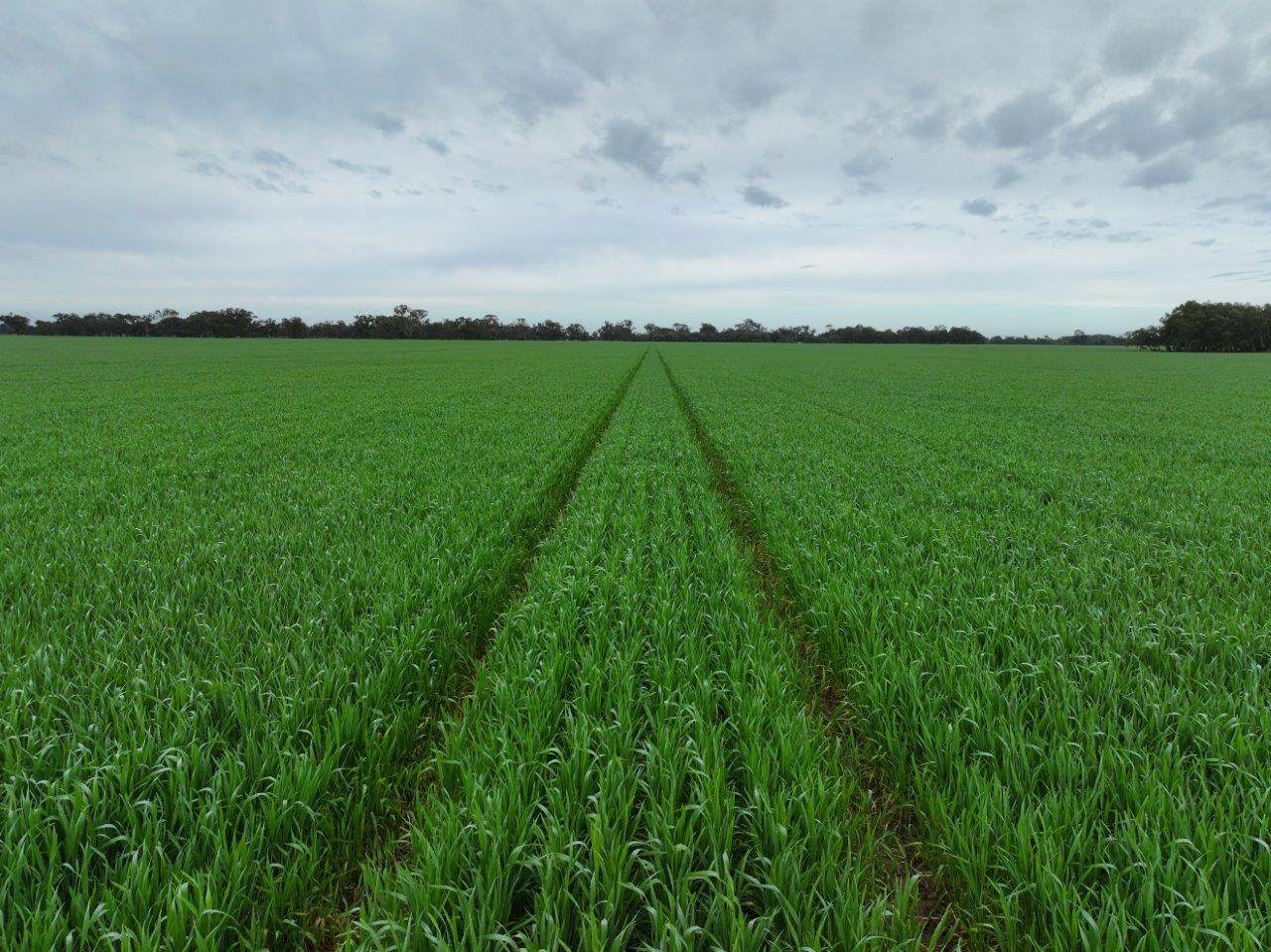 - Drummartin Road, Drummartin Auction by Farmbuy.com - image 1