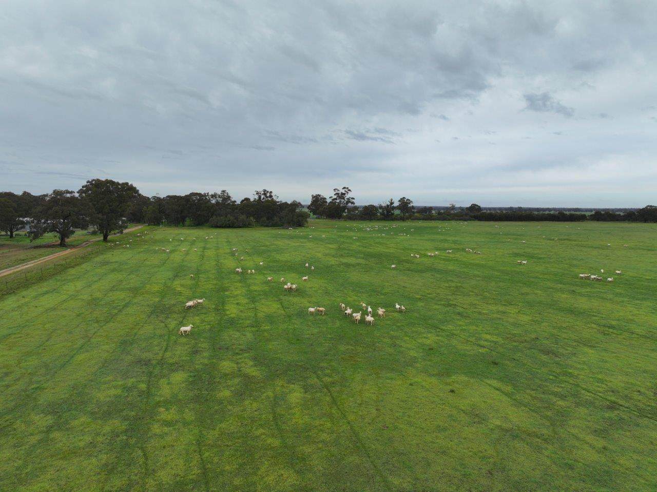 - Drummartin Road, Drummartin Auction by Farmbuy.com - image 4