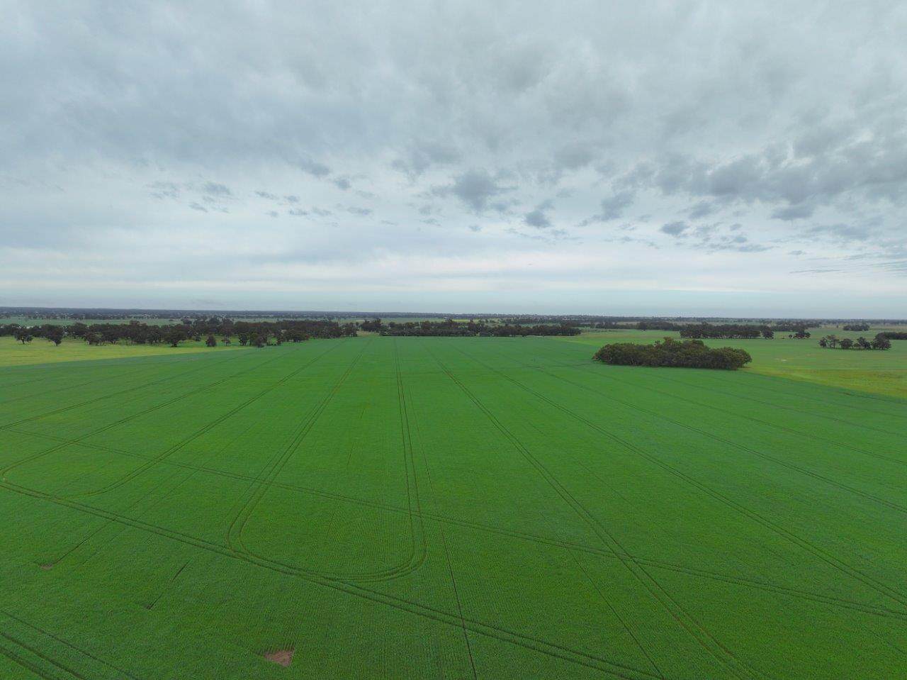- Drummartin Road, Drummartin Auction by Farmbuy.com - image 5