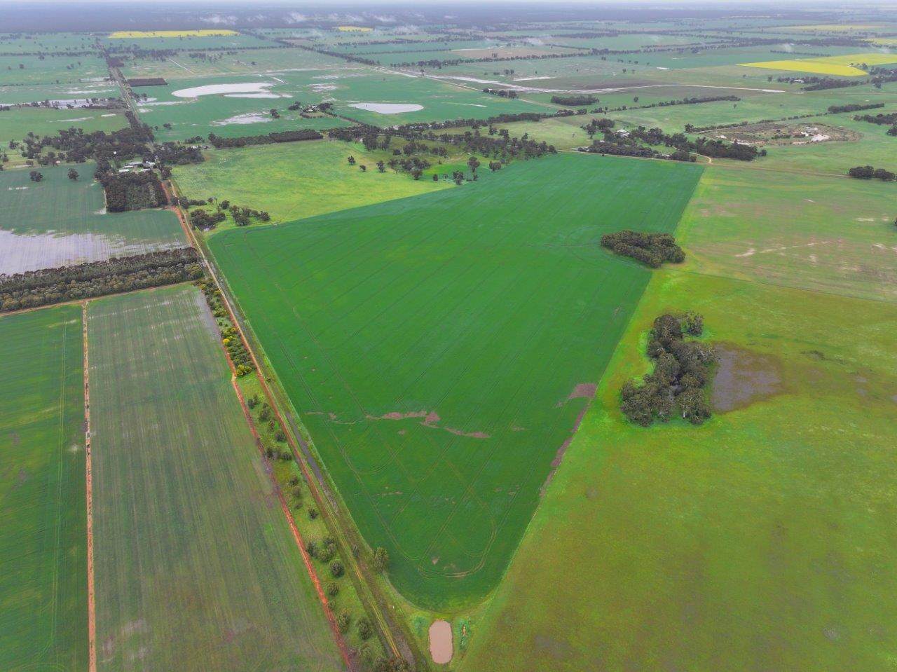 - Drummartin Road, Drummartin Auction by Farmbuy.com - image 3