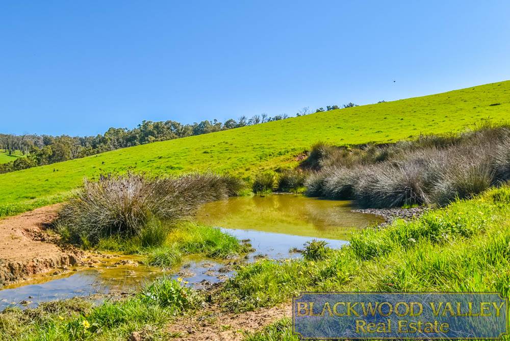 Known As Lot 1149 Campbells Road, Bridgetown For Sale by Farmbuy.com - image 7