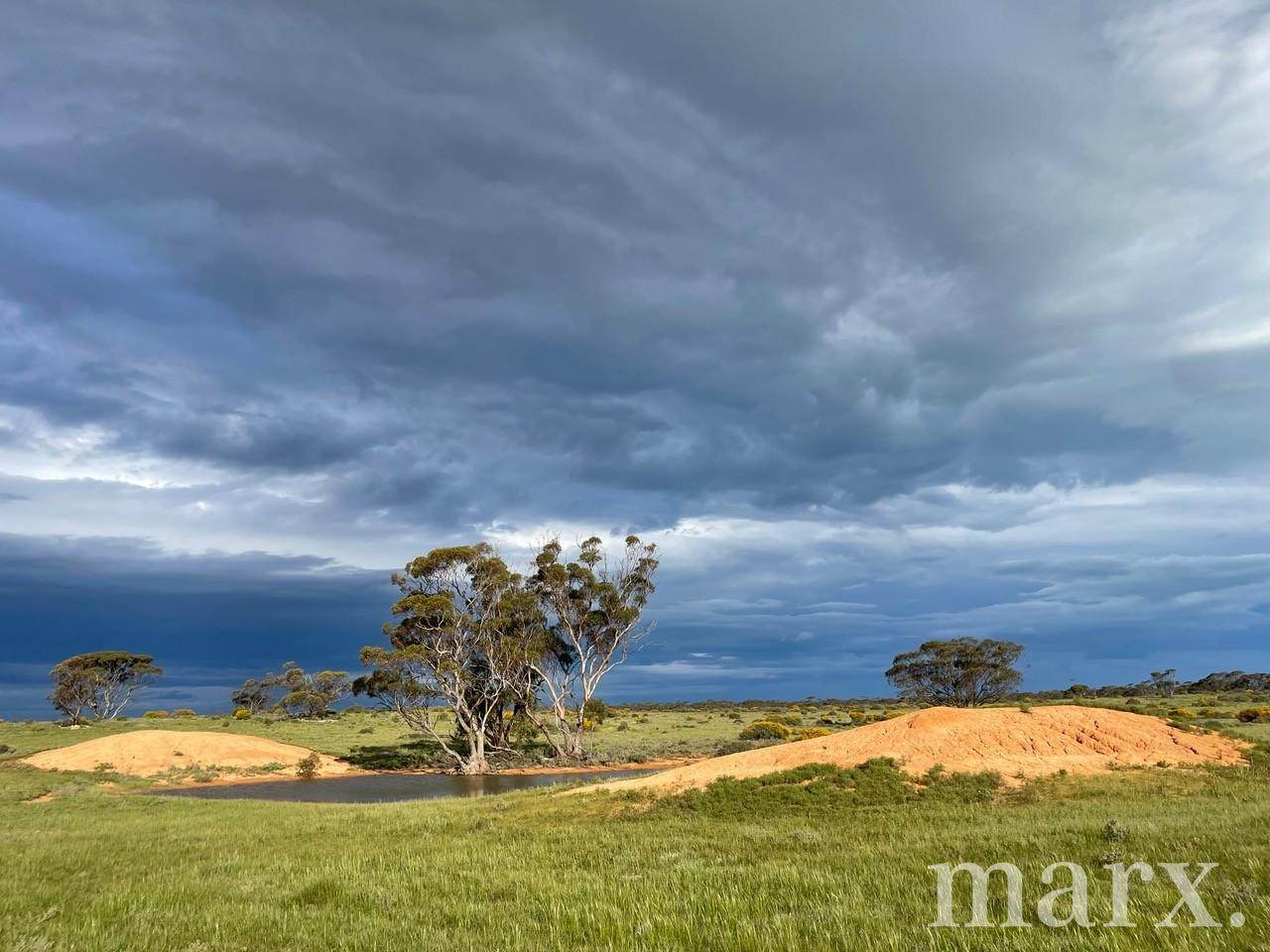 Lot 195 Seven Cross Road, Sedan For Sale by Farmbuy.com - image 17