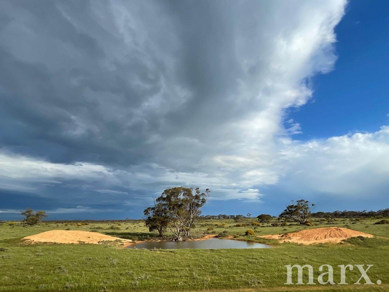 Lot 195 Seven Cross Road, Sedan For Sale by Farmbuy.com - image 5