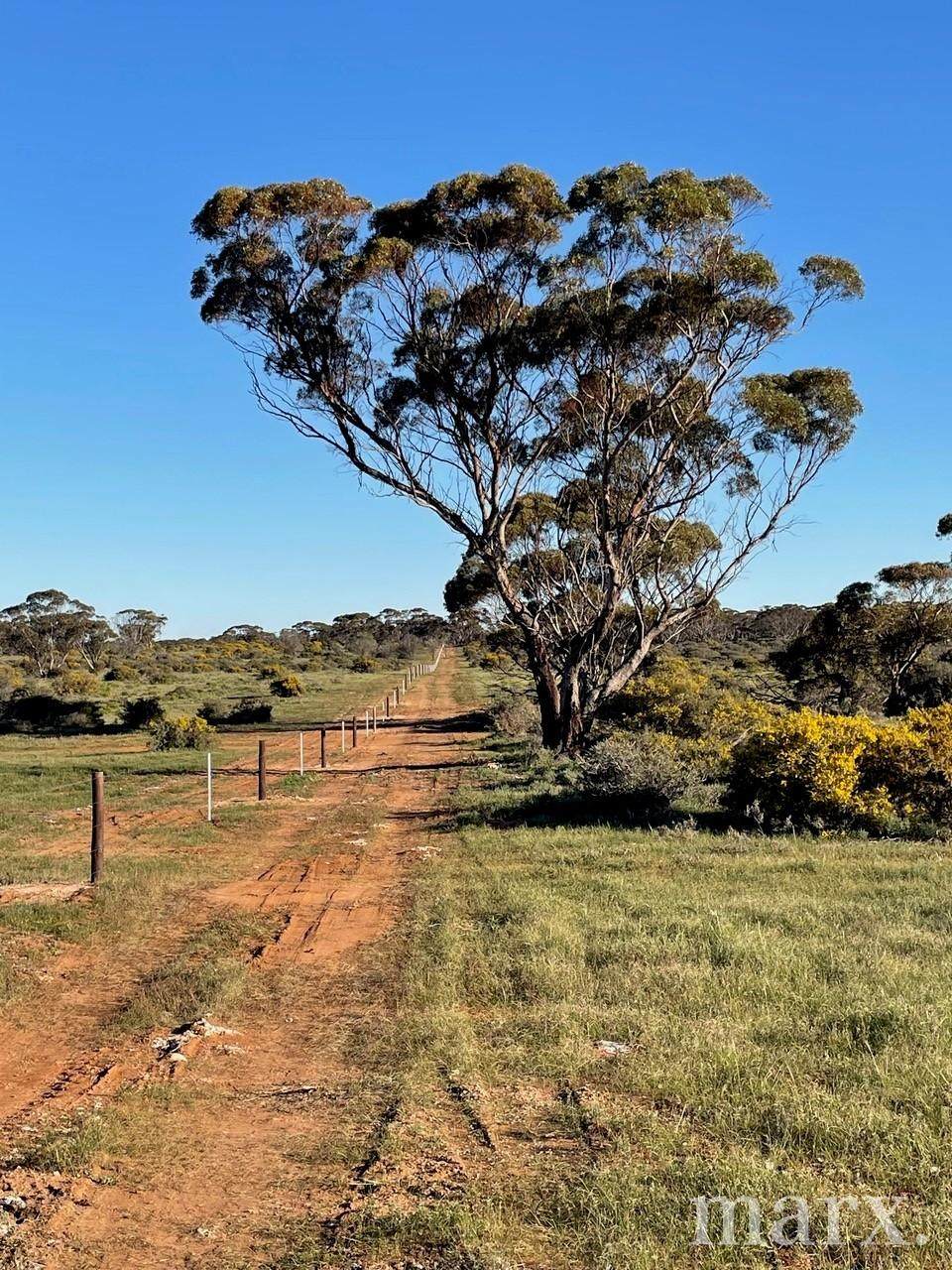 Lot 195 Seven Cross Road, Sedan For Sale by Farmbuy.com - image 4