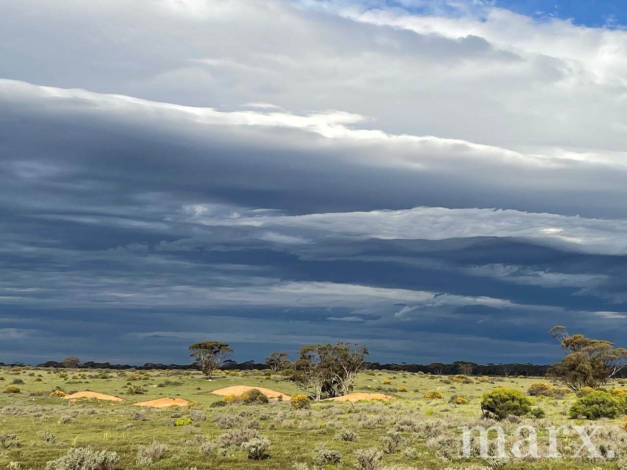 Lot 195 Seven Cross Road, Sedan For Sale by Farmbuy.com - image 15