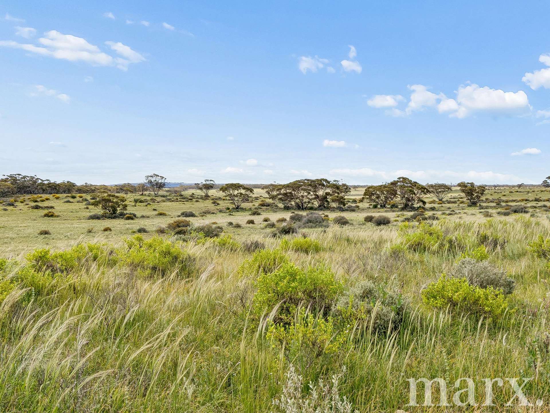 Lot 195 Seven Cross Road, Sedan For Sale by Farmbuy.com - image 2