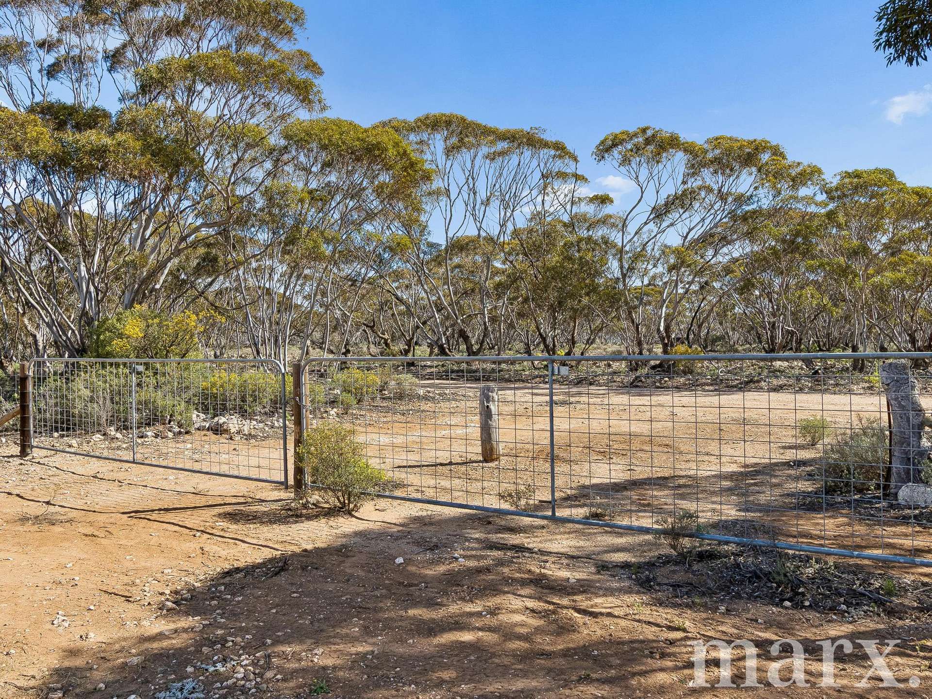 Lot 195 Seven Cross Road, Sedan For Sale by Farmbuy.com - image 19