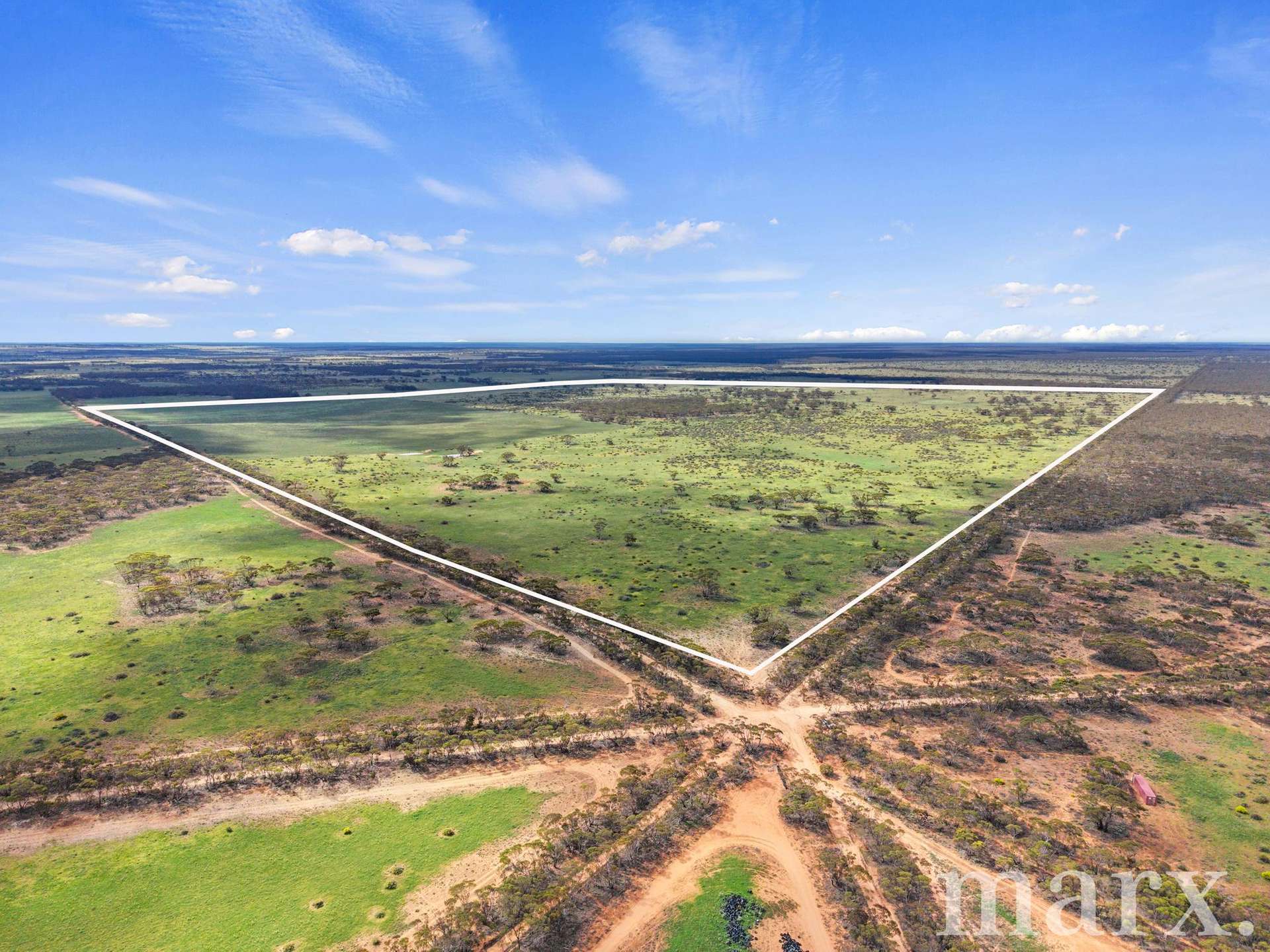 Lot 195 Seven Cross Road, Sedan For Sale by Farmbuy.com - image 1