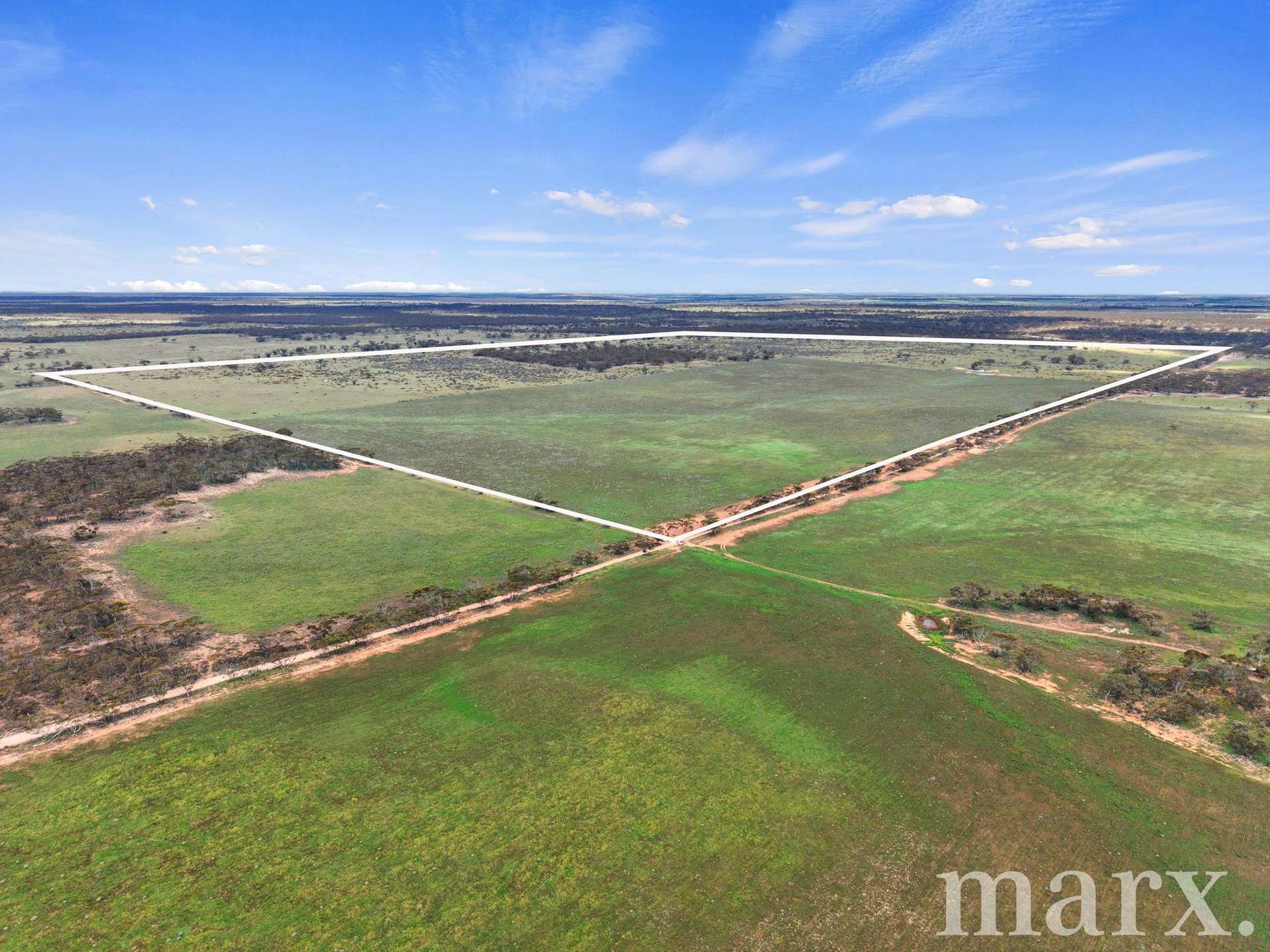 Lot 195 Seven Cross Road, Sedan For Sale by Farmbuy.com - image 3