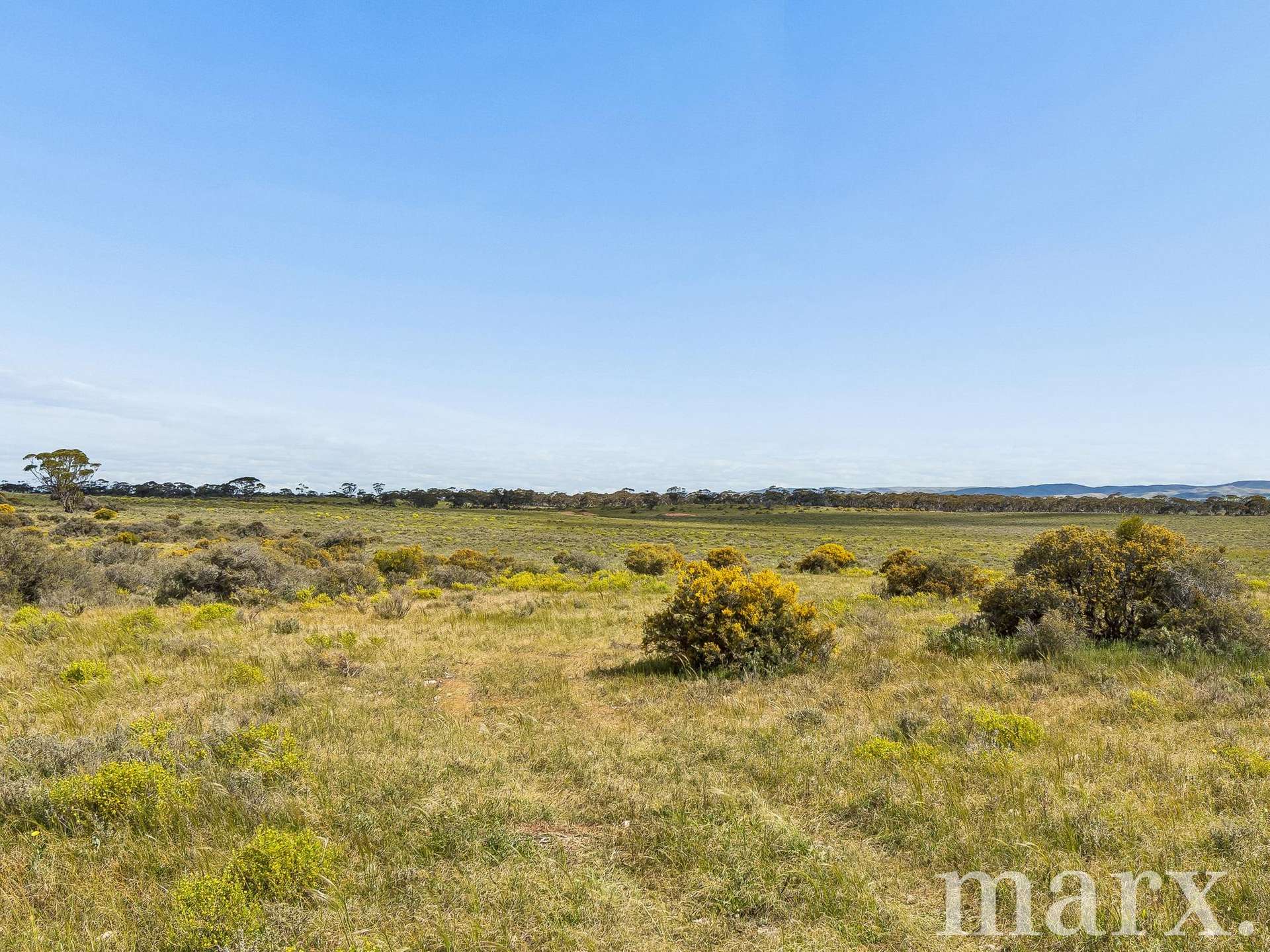 Lot 195 Seven Cross Road, Sedan For Sale by Farmbuy.com - image 10