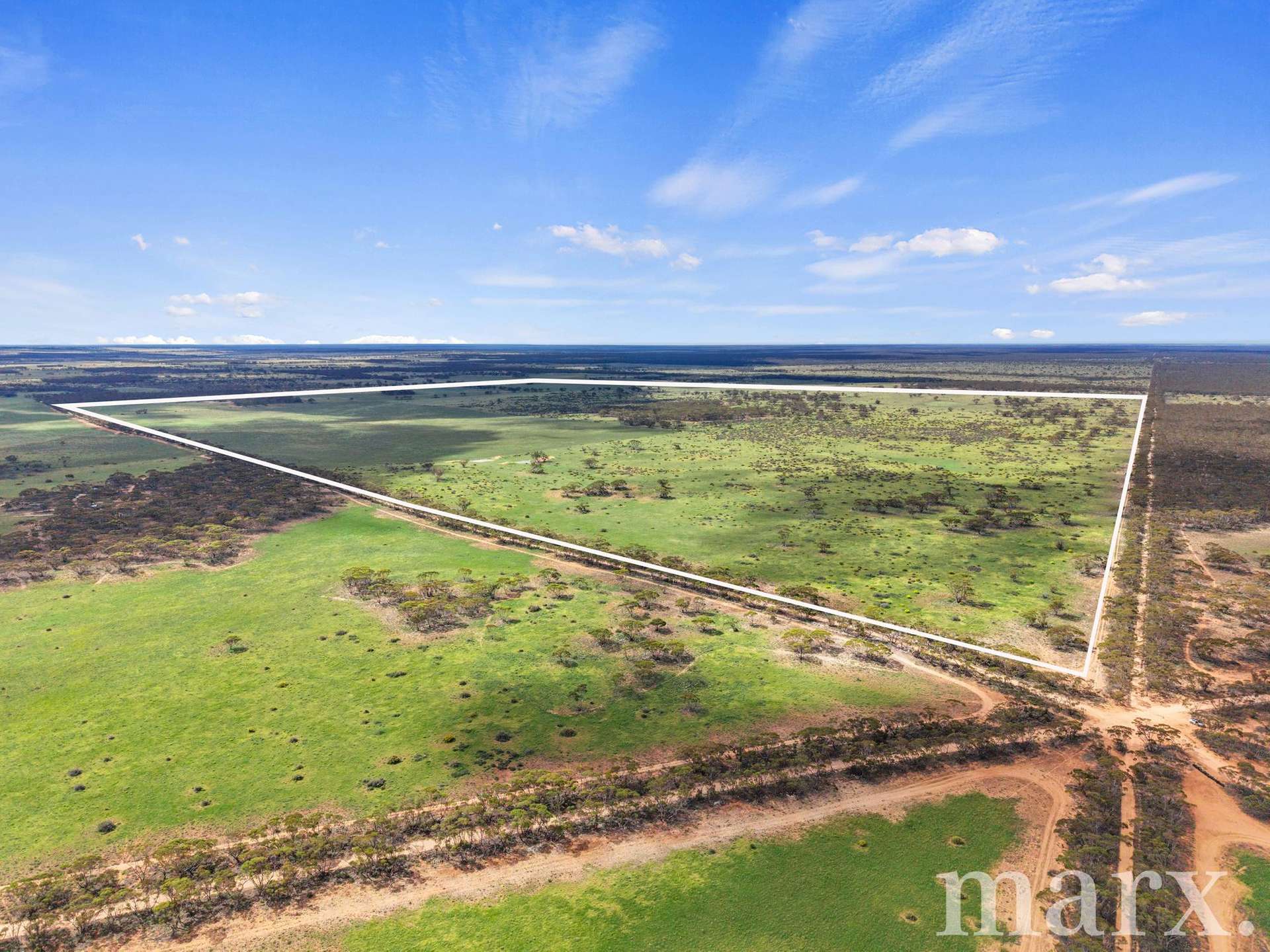 Lot 195 Seven Cross Road, Sedan For Sale by Farmbuy.com - image 20