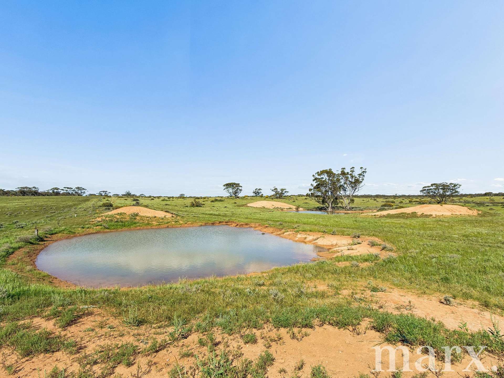 Lot 195 Seven Cross Road, Sedan For Sale by Farmbuy.com - image 13