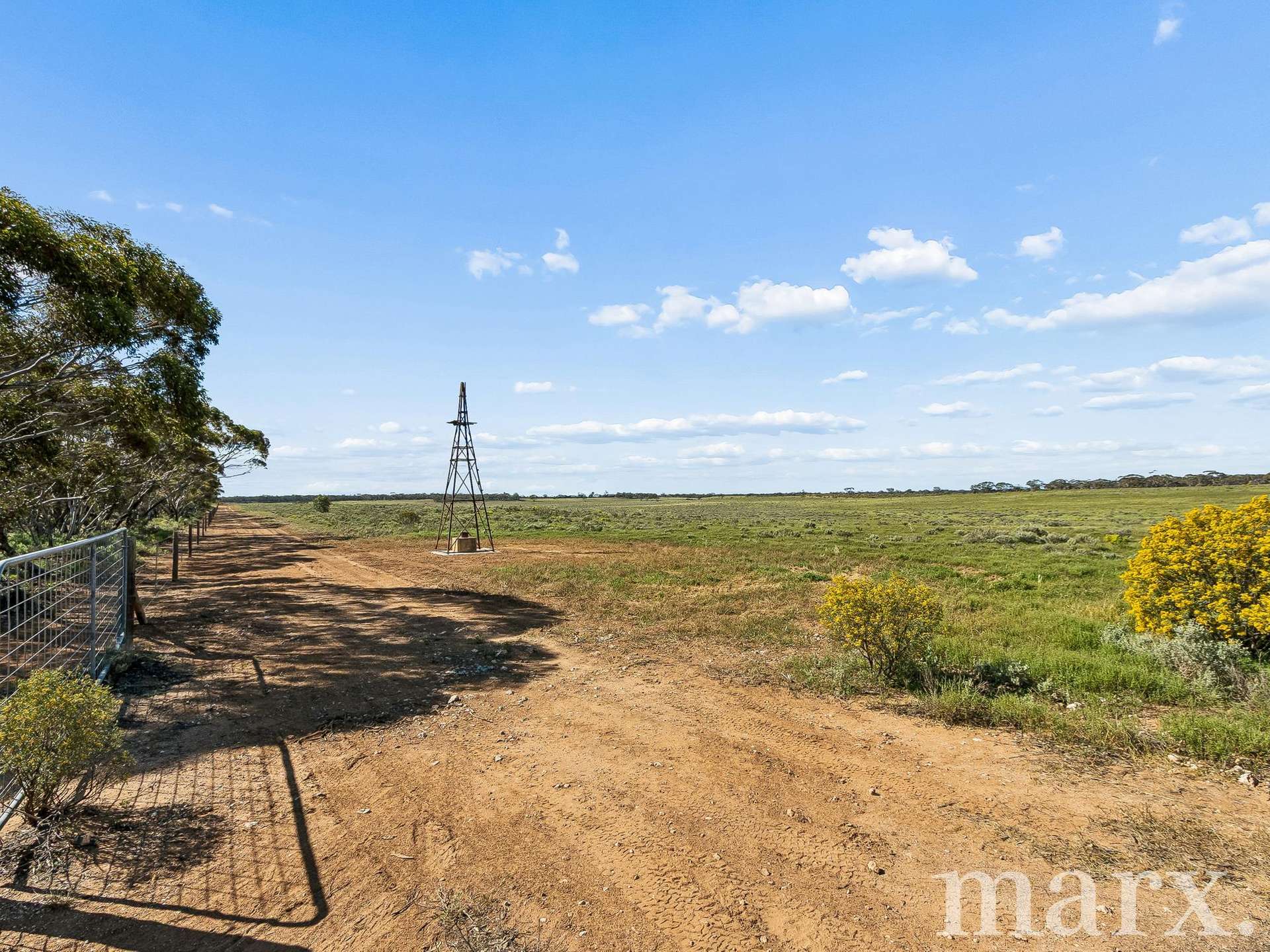Lot 195 Seven Cross Road, Sedan For Sale by Farmbuy.com - image 7