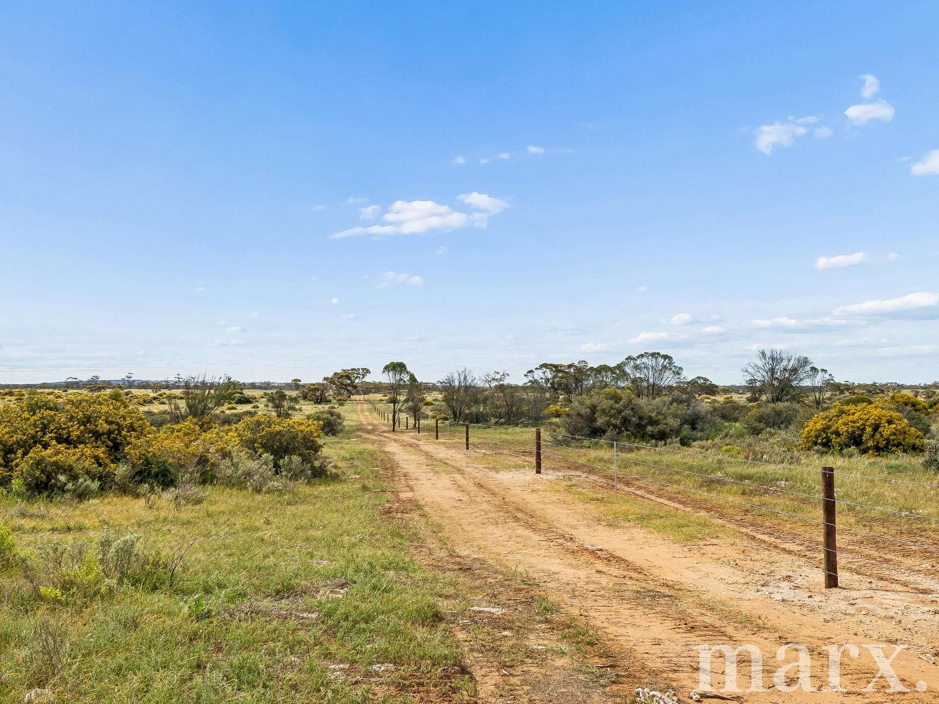 Lot 195 Seven Cross Road, Sedan For Sale by Farmbuy.com - image 8