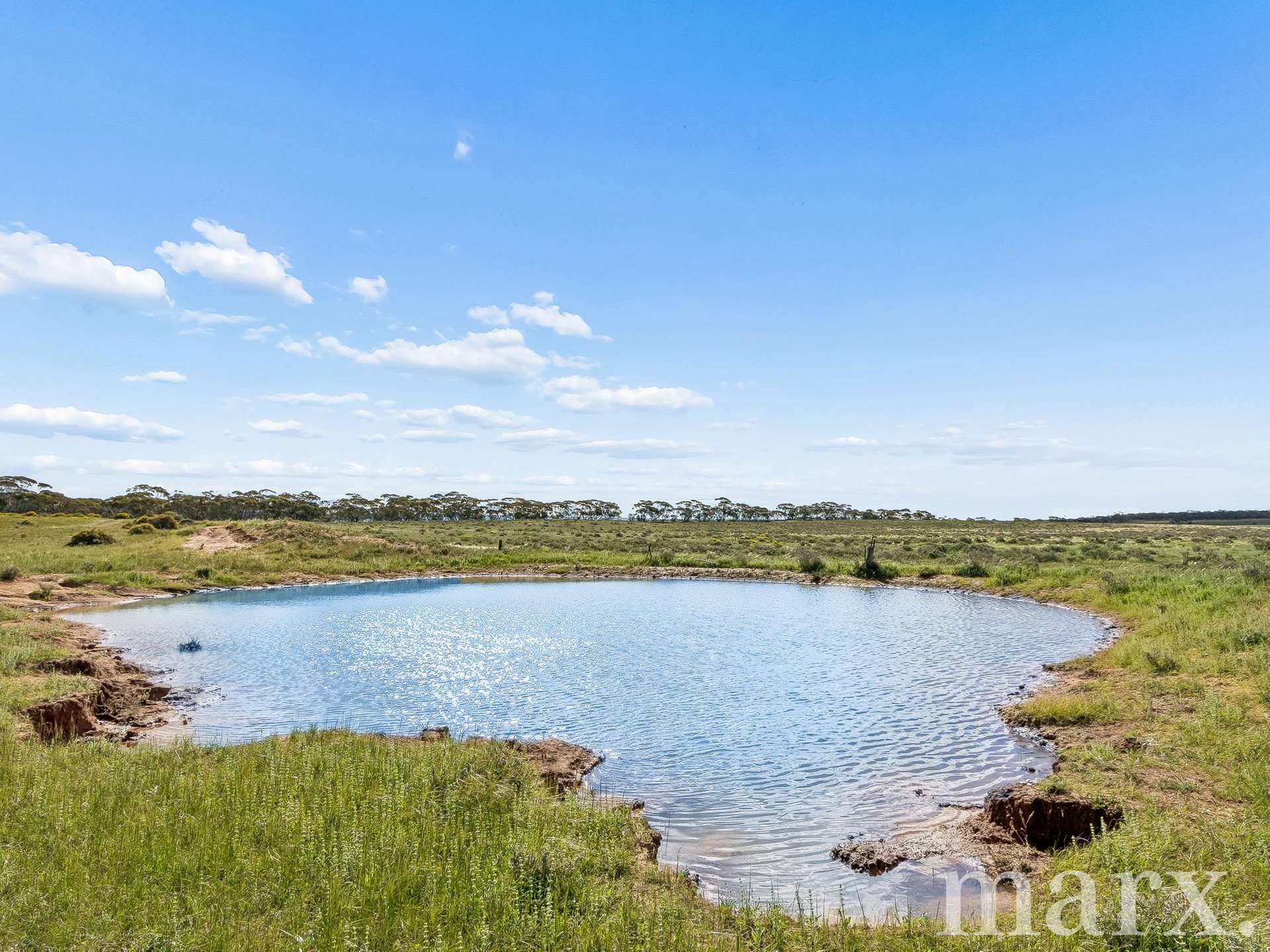 Lot 195 Seven Cross Road, Sedan For Sale by Farmbuy.com - image 12