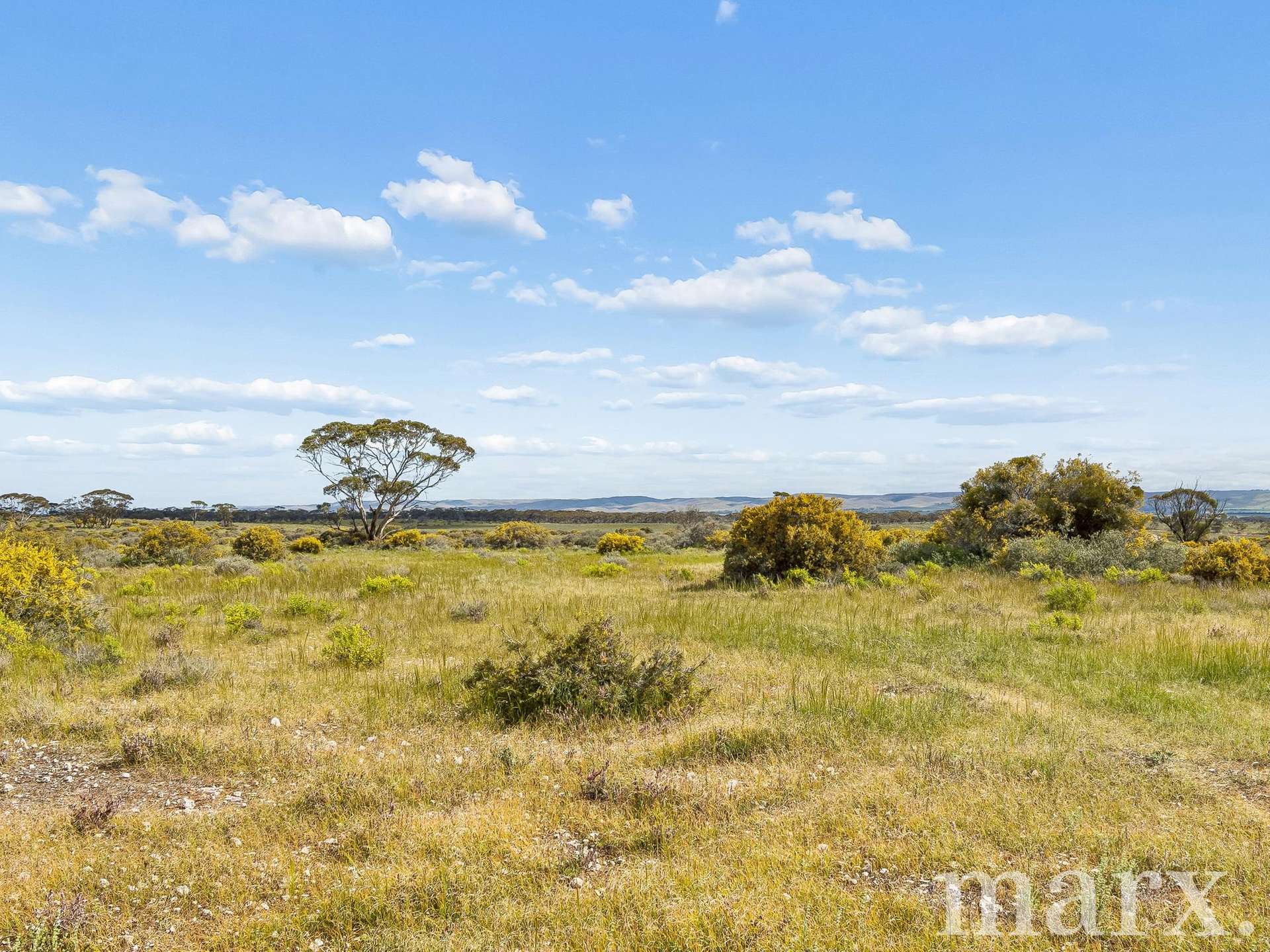 Lot 195 Seven Cross Road, Sedan For Sale by Farmbuy.com - image 9