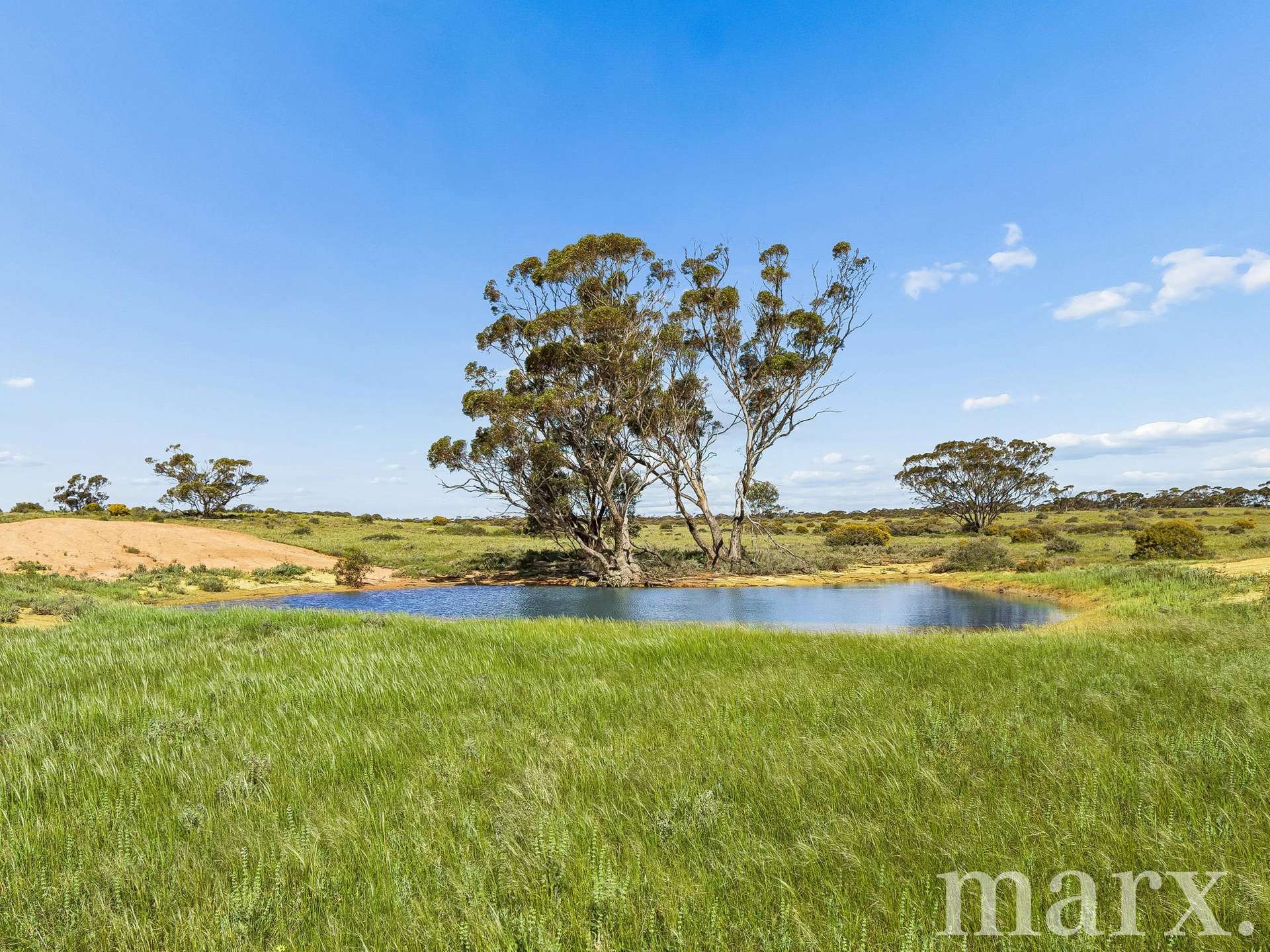 Lot 195 Seven Cross Road, Sedan For Sale by Farmbuy.com - image 6