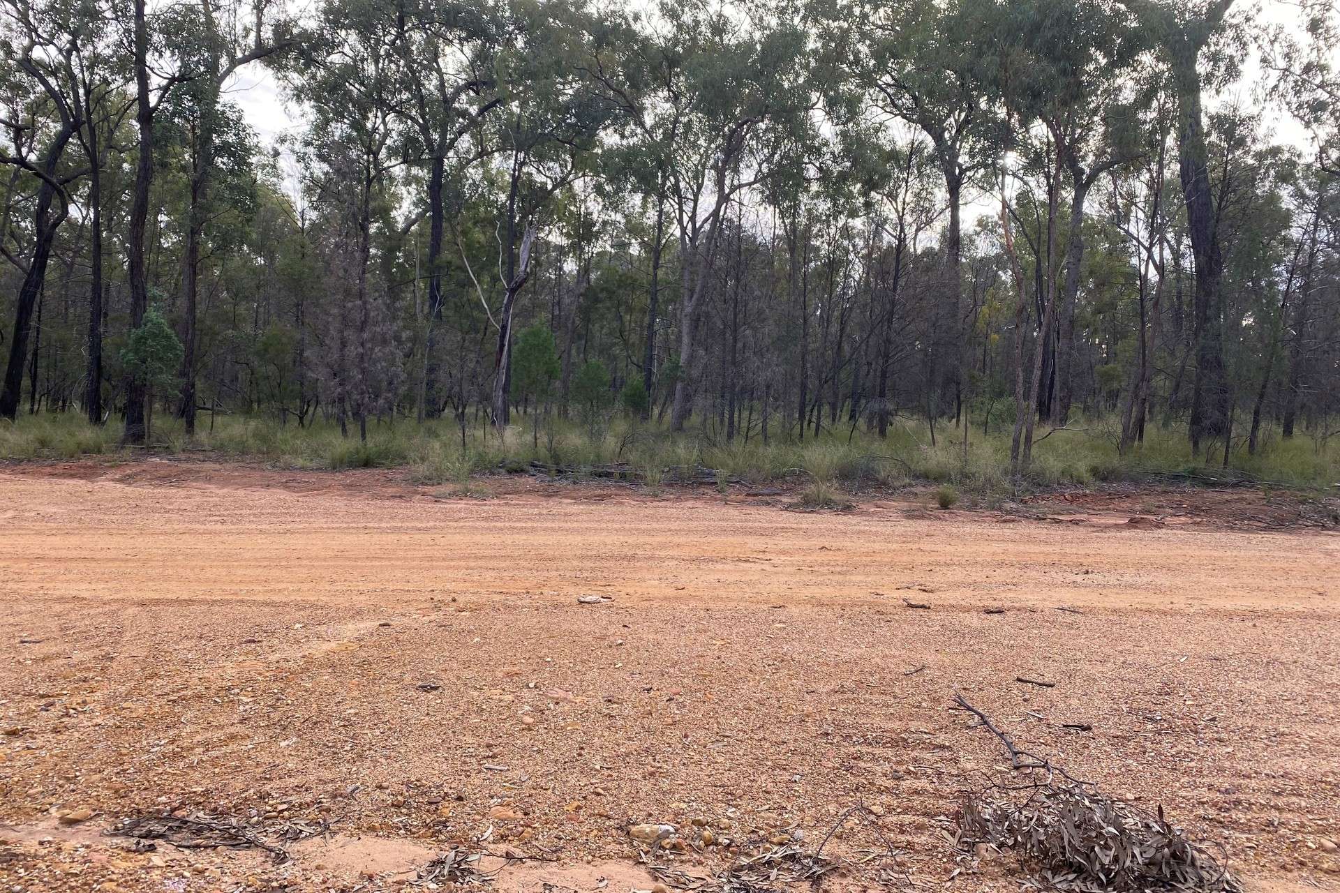 Lot 17,  Ash Court, Wattle Ridge For Sale by Farmbuy.com - image 3