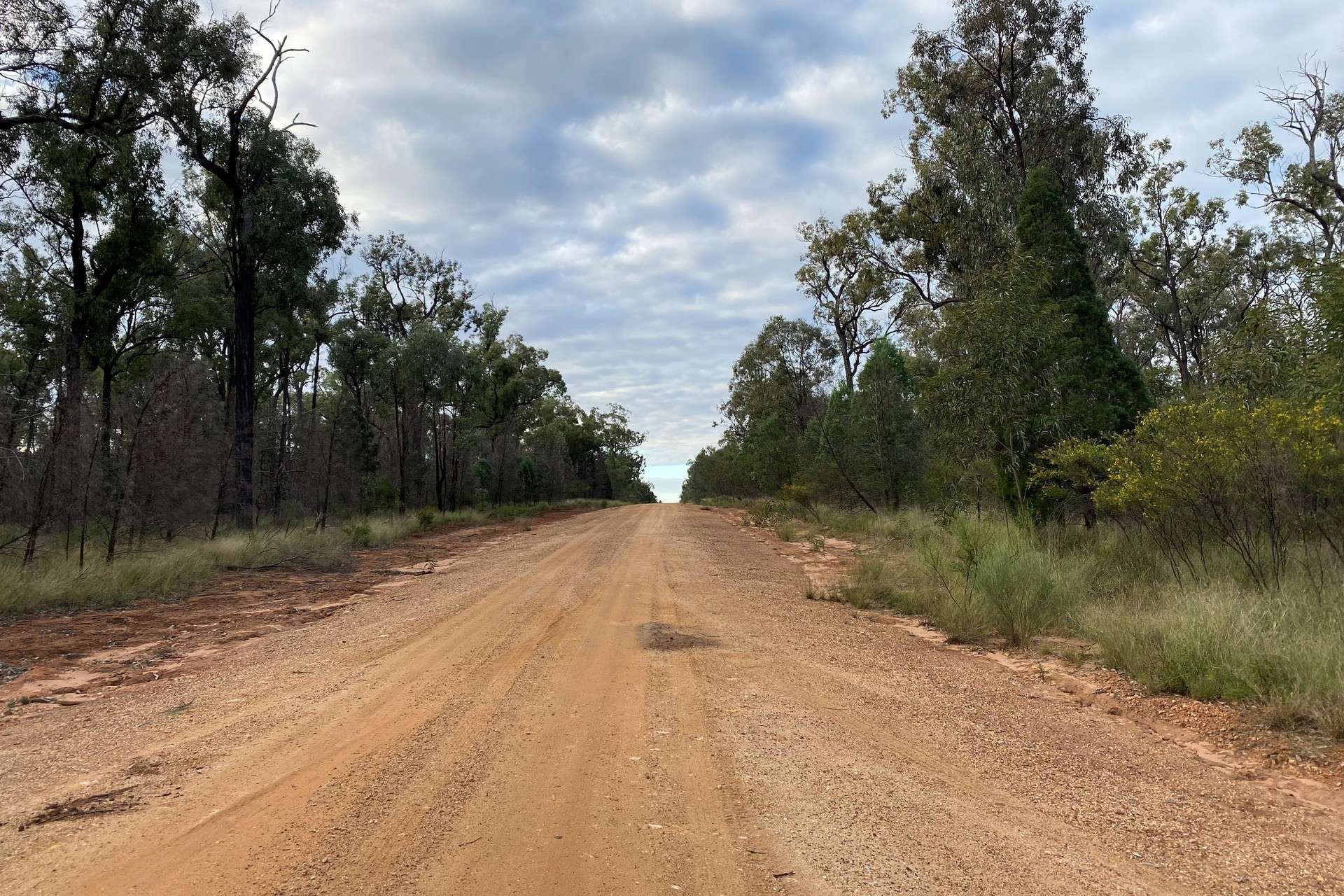 Lot 17,  Ash Court, Wattle Ridge For Sale by Farmbuy.com - image 1