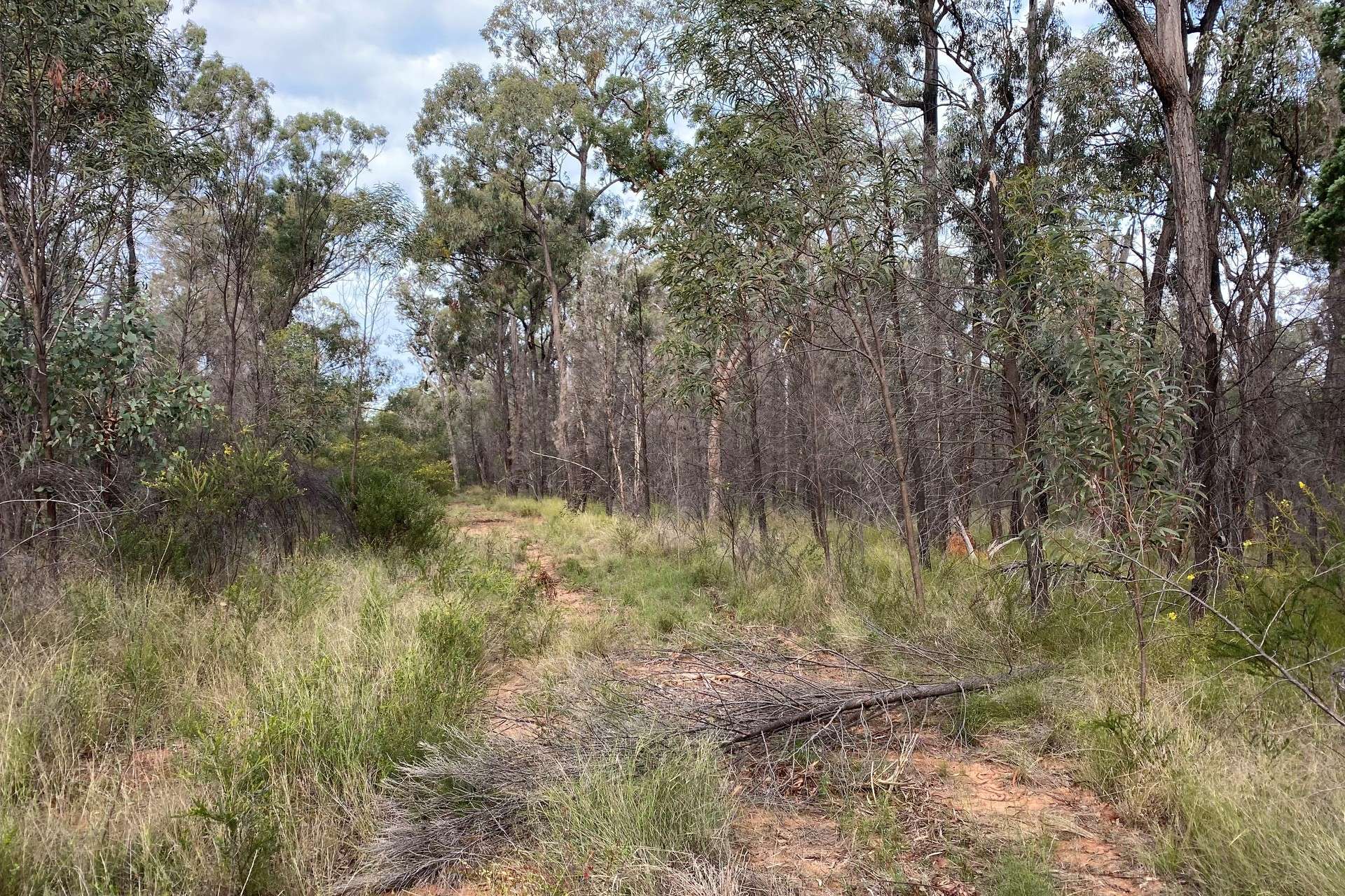 Lot 17,  Ash Court, Wattle Ridge For Sale by Farmbuy.com - image 2