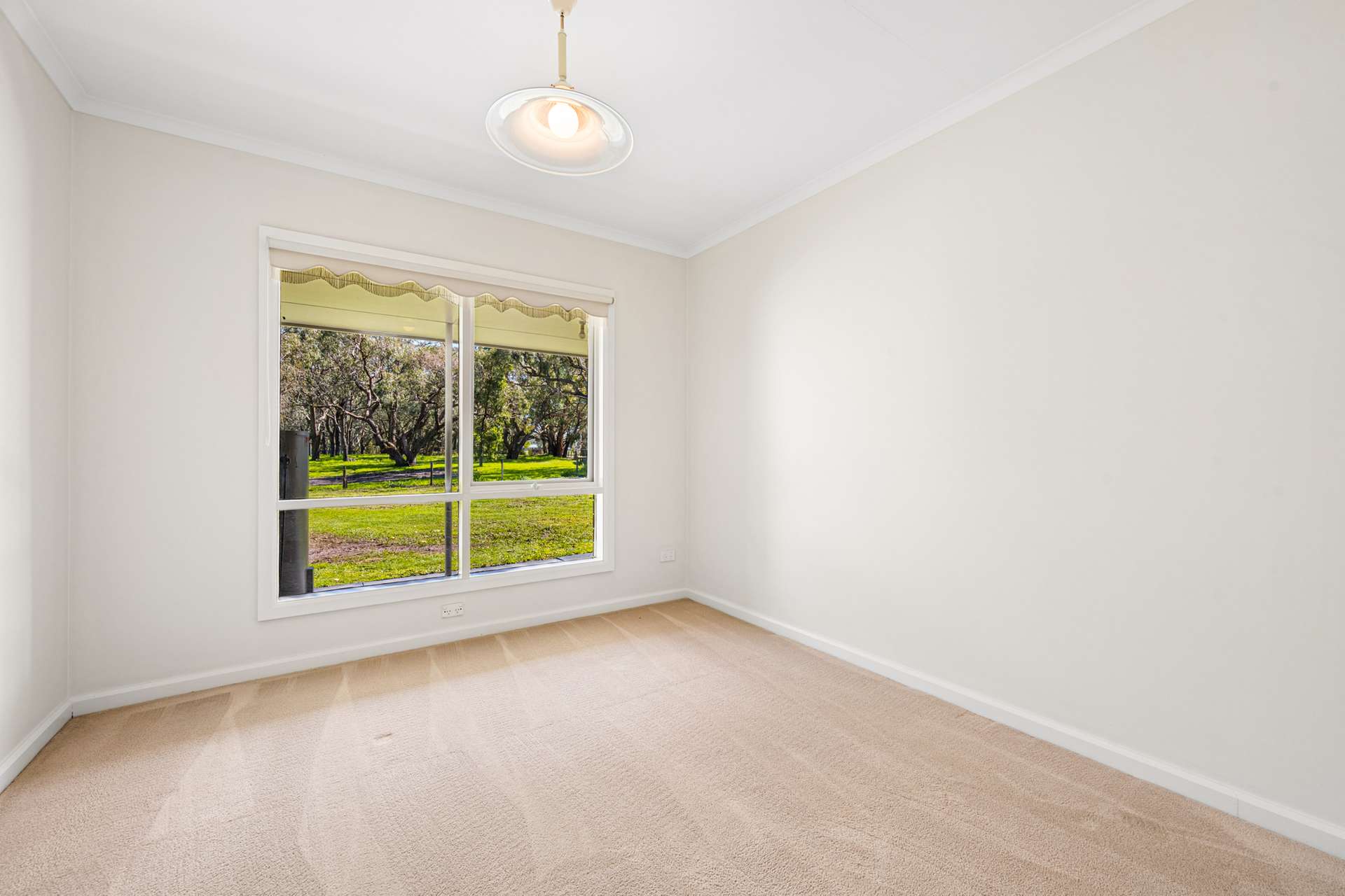 32 Riddoch Highway, Tarpeena For Sale by Farmbuy.com - image 10
