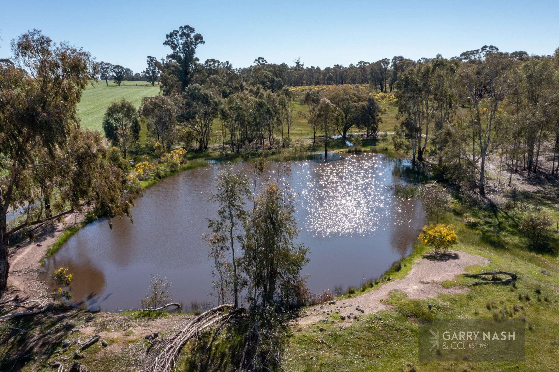 1605 Almonds Road, Boweya North For Sale by Farmbuy.com - image 18