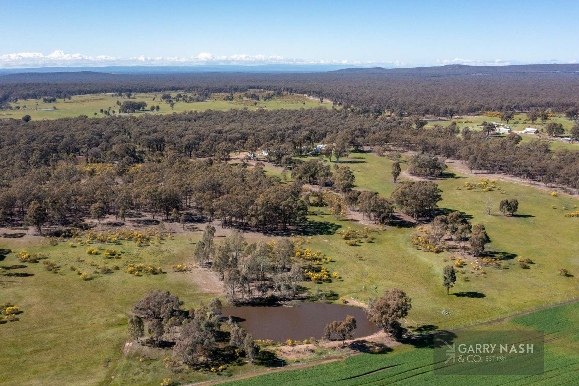 1605 Almonds Road, Boweya North For Sale by Farmbuy.com - image 17