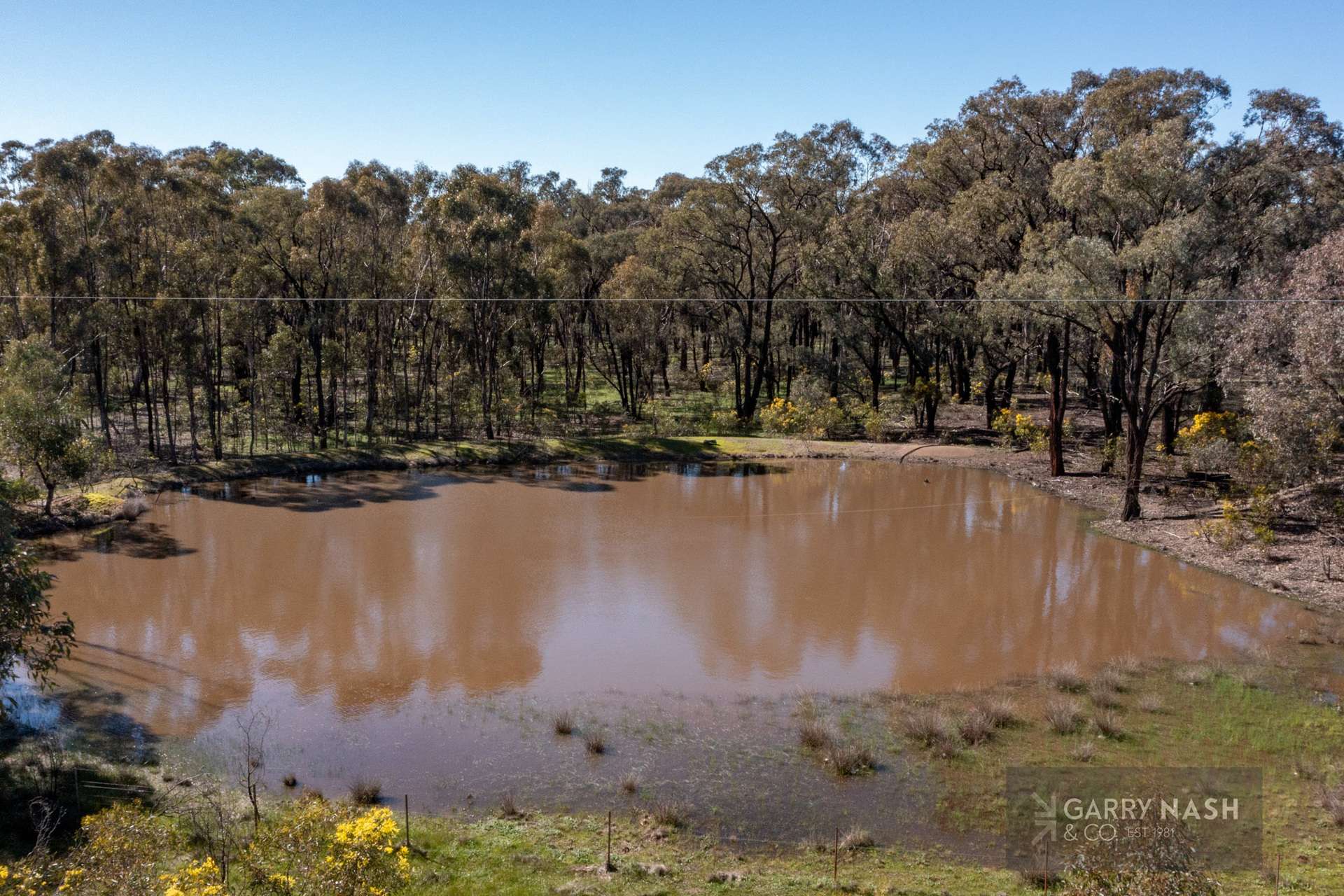 1605 Almonds Road, Boweya North For Sale by Farmbuy.com - image 14