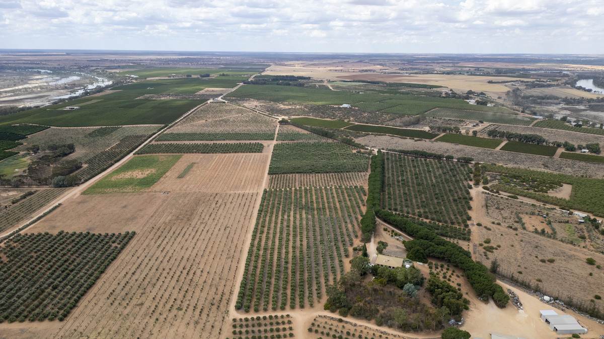 Lot 60 Hartwig Road, Taylorville For Sale by Farmbuy.com - image 27
