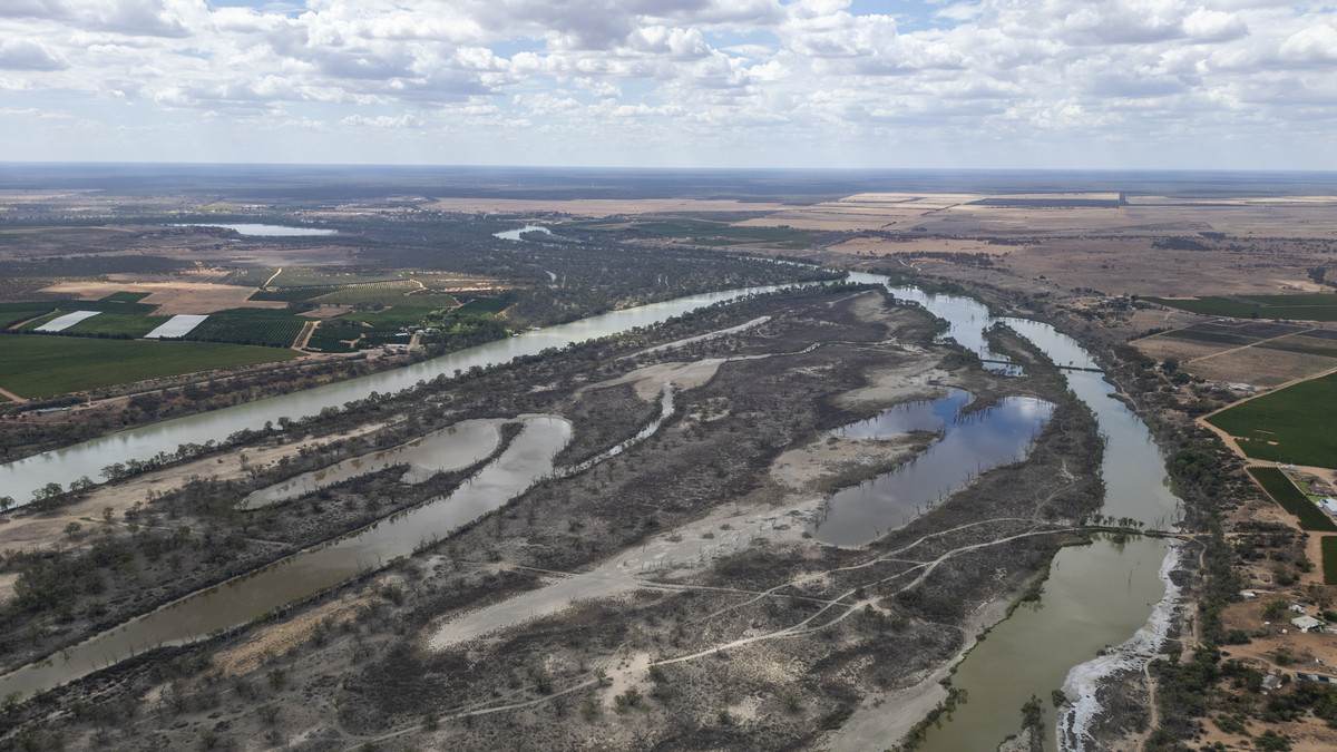 Lot 60 Hartwig Road, Taylorville For Sale by Farmbuy.com - image 31