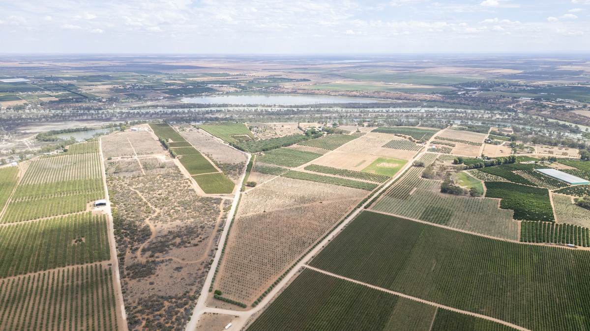 Lot 60 Hartwig Road, Taylorville For Sale by Farmbuy.com - image 29
