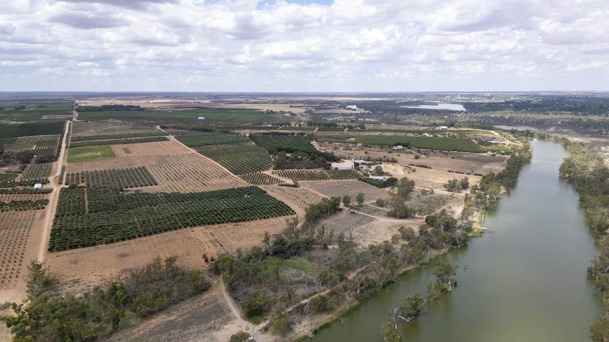 Lot 60 Hartwig Road, Taylorville For Sale by Farmbuy.com - image 23