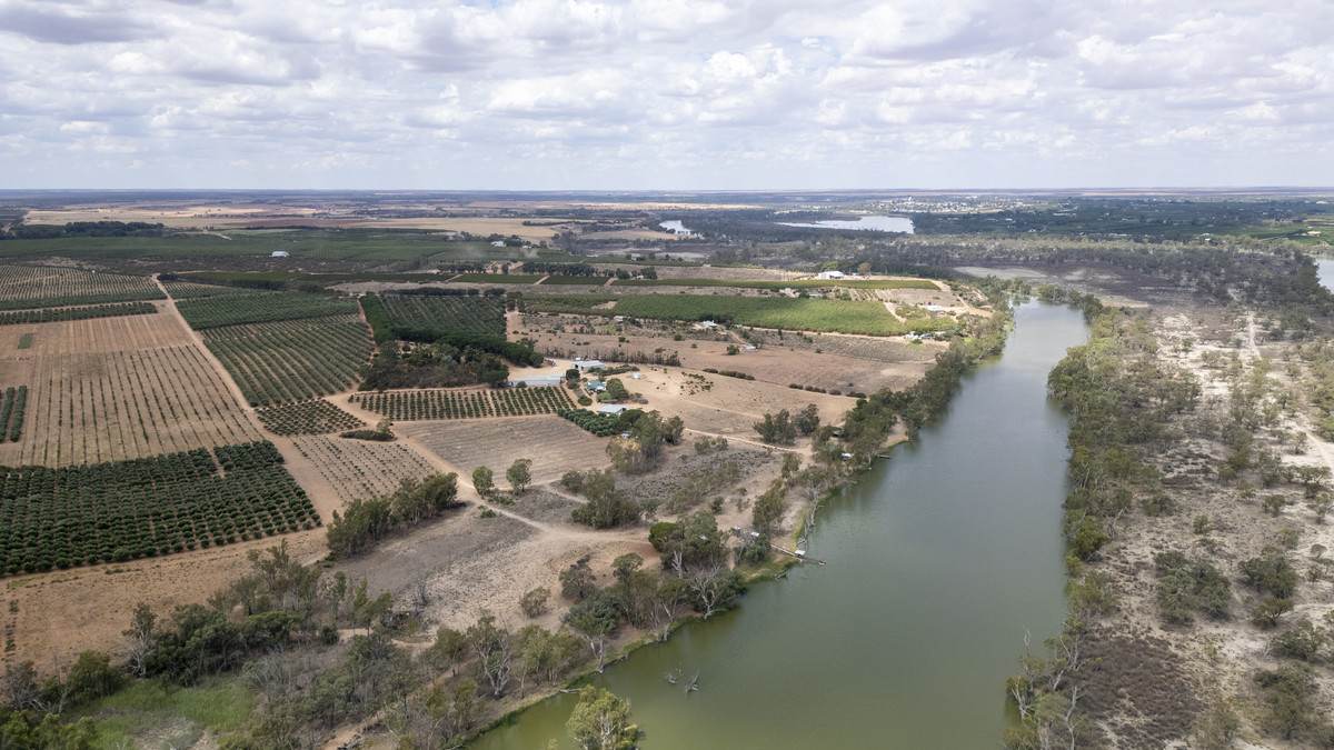 Lot 60 Hartwig Road, Taylorville For Sale by Farmbuy.com - image 22