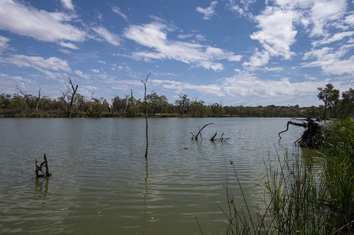 Lot 60 Hartwig Road, Taylorville For Sale by Farmbuy.com - image 17