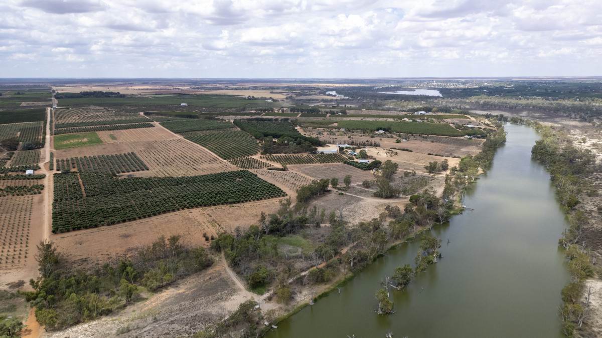 Lot 60 Hartwig Road, Taylorville For Sale by Farmbuy.com - image 24
