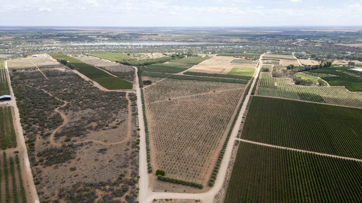 Lot 60 Hartwig Road, Taylorville For Sale by Farmbuy.com - image 32