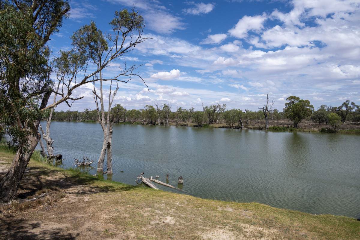 Lot 60 Hartwig Road, Taylorville For Sale by Farmbuy.com - image 18