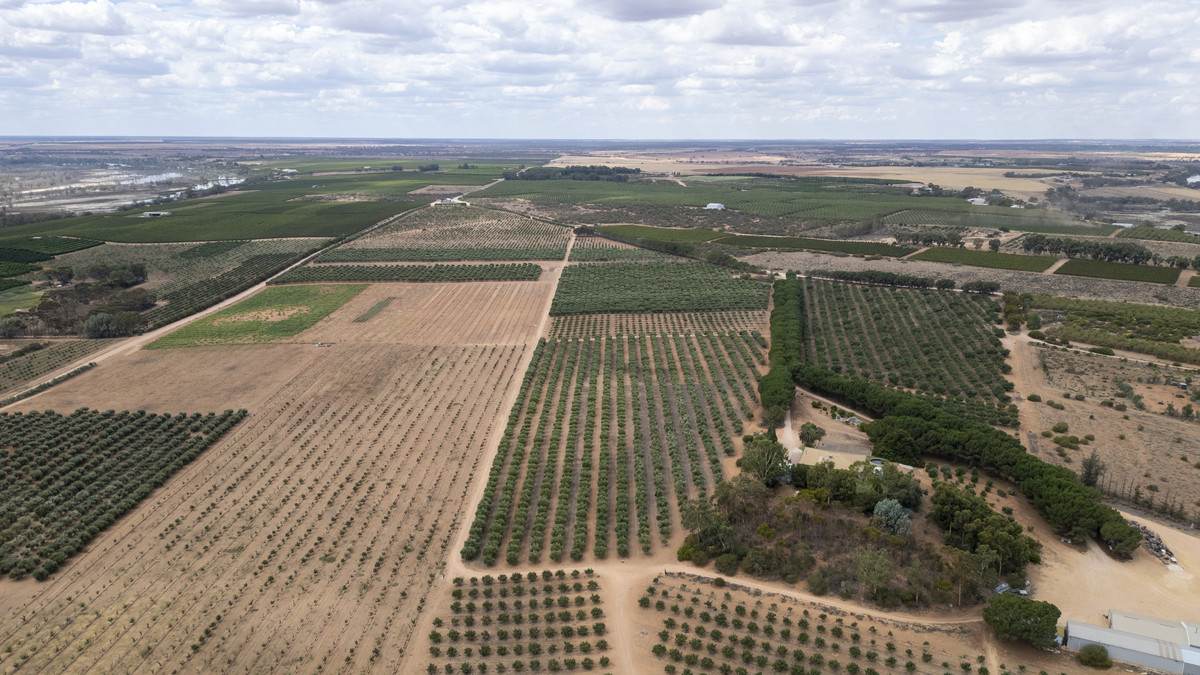 Lot 60 Hartwig Road, Taylorville For Sale by Farmbuy.com - image 26