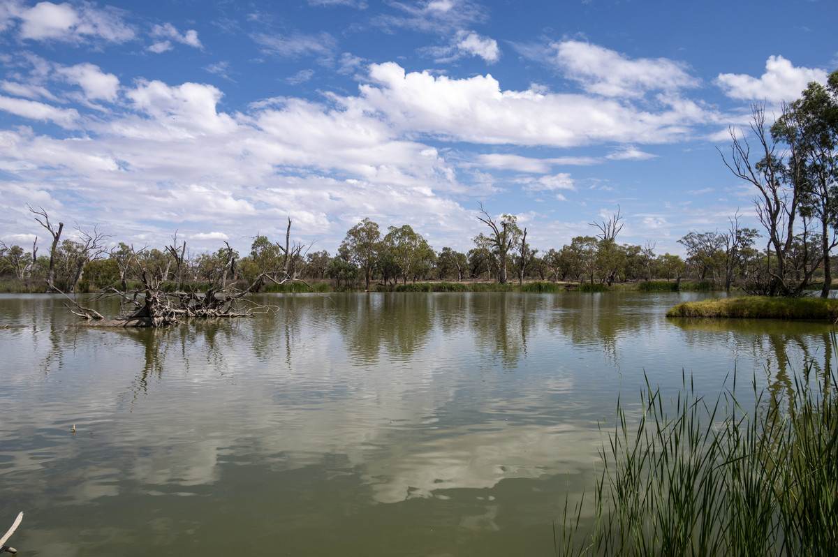 Lot 60 Hartwig Road, Taylorville For Sale by Farmbuy.com - image 21