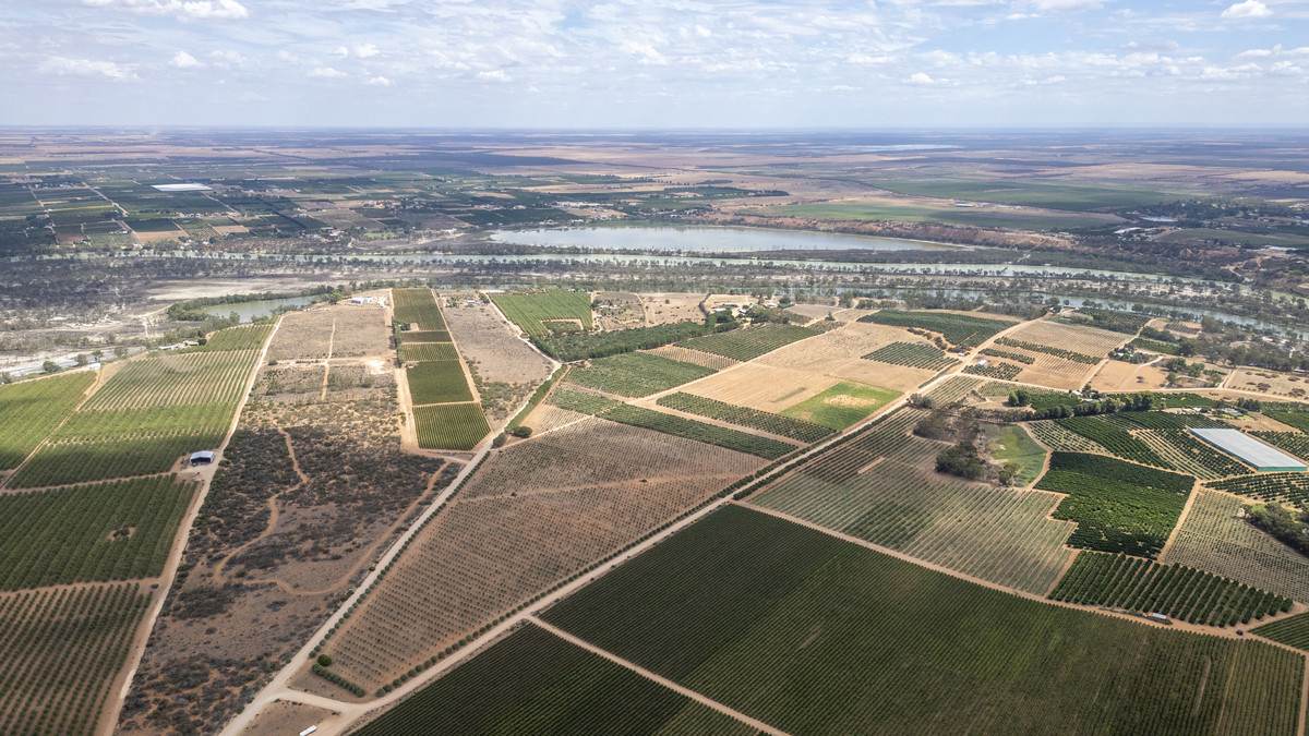 Lot 60 Hartwig Road, Taylorville For Sale by Farmbuy.com - image 30