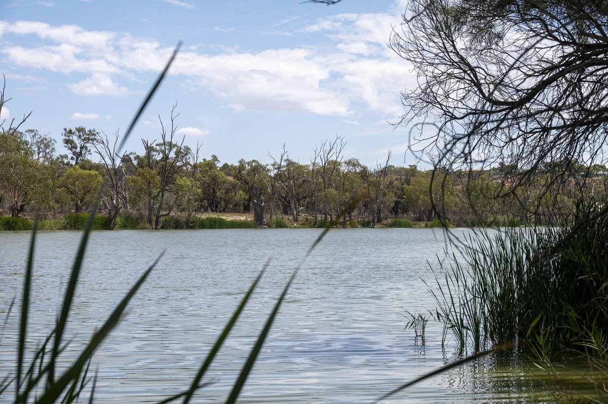 Lot 60 Hartwig Road, Taylorville For Sale by Farmbuy.com - image 16